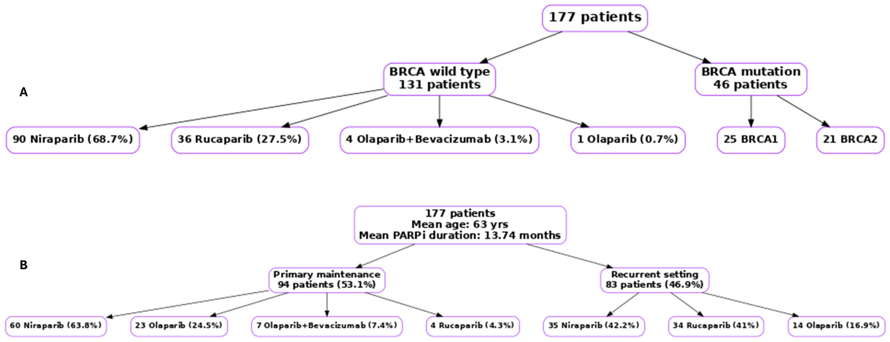Cancers 17 03591 g001