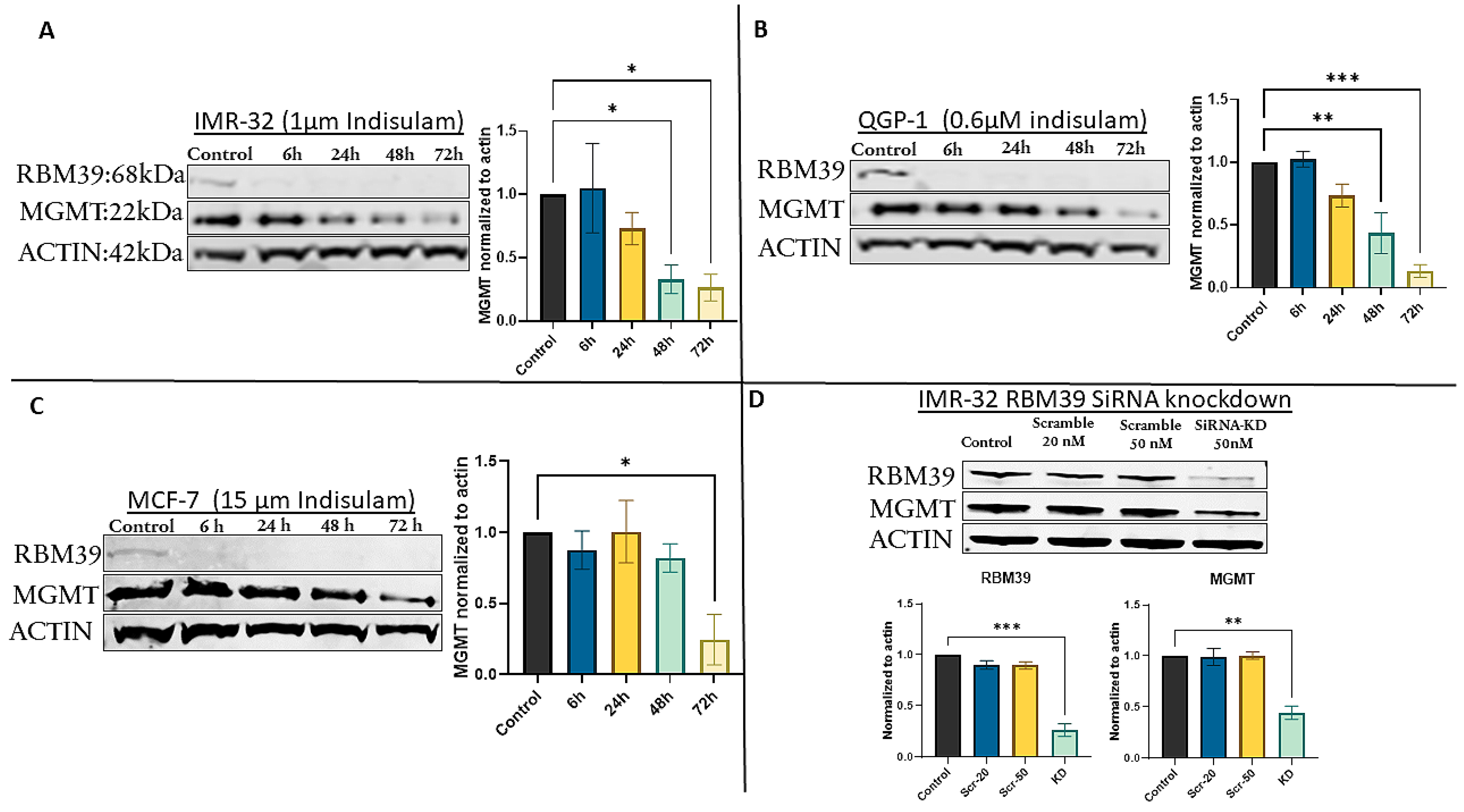 Cancers 17 03604 g001