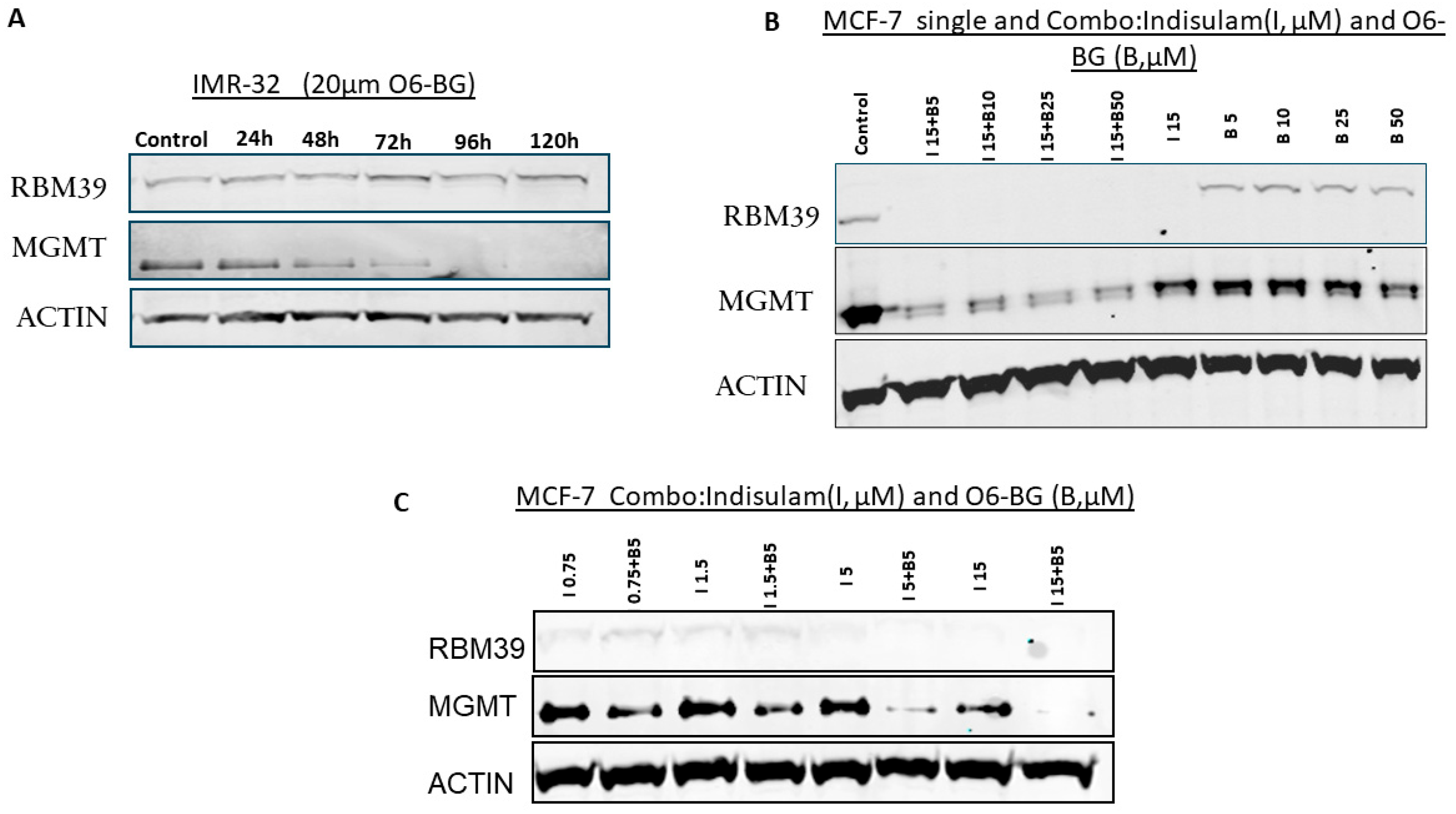 Cancers 17 03604 g002