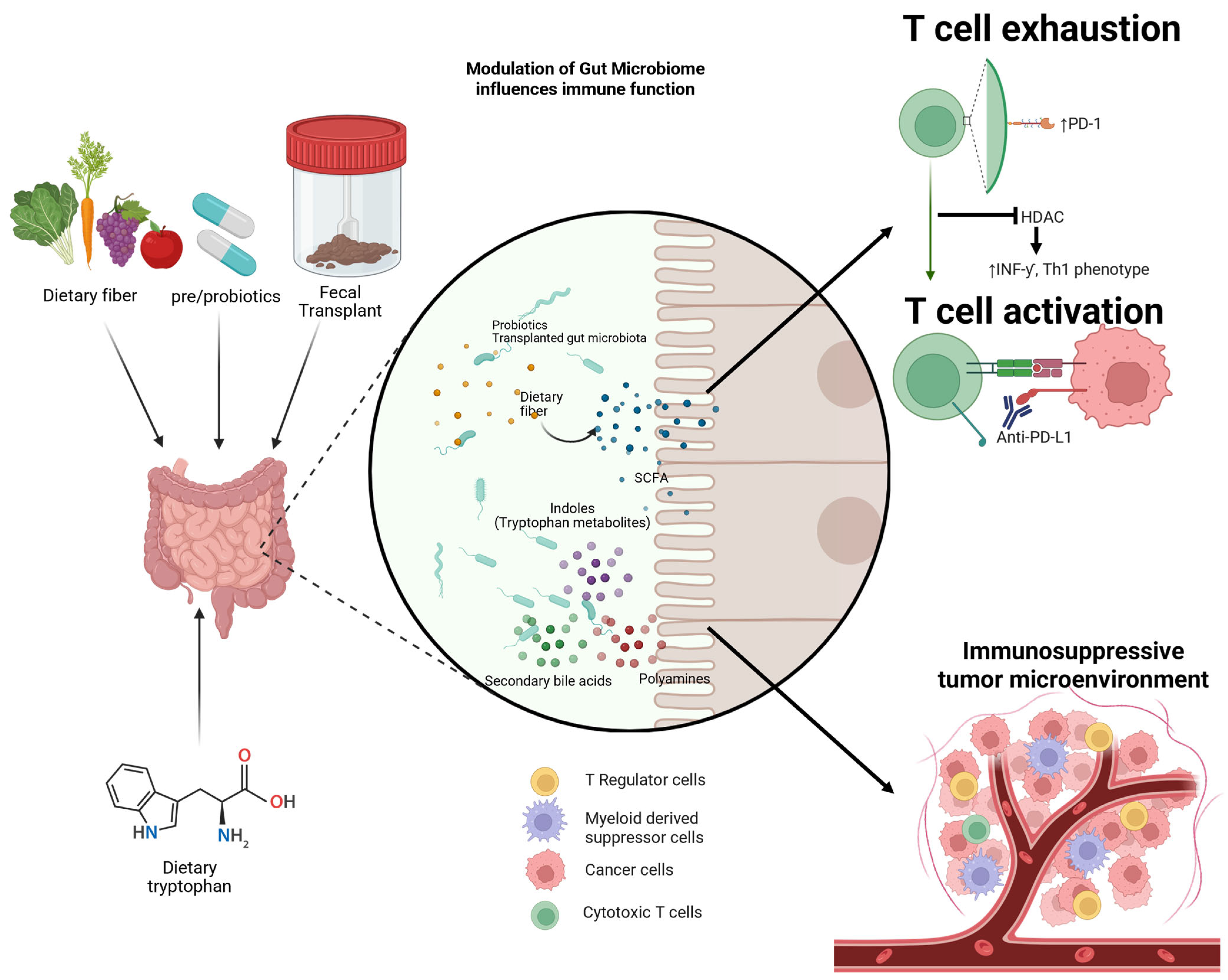 Cancers 17 03606 g001