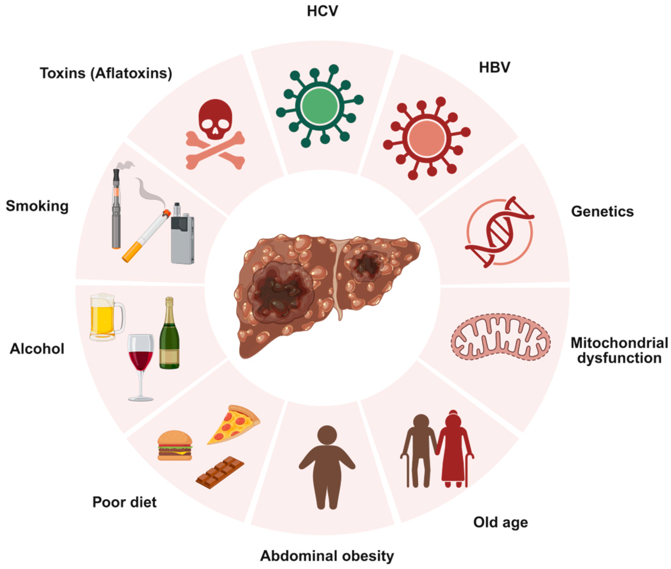 Gene Therapy Strategies for Hepatocellular Carcinoma (HCC