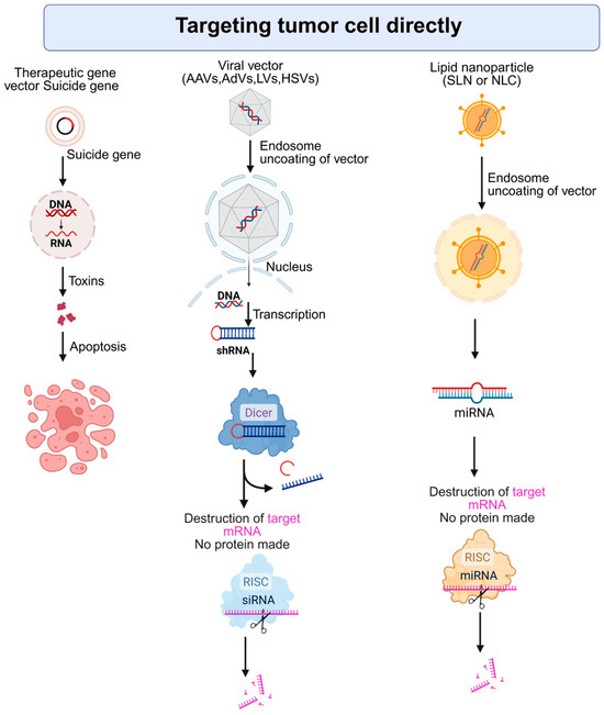 Gene Therapy Strategies for Hepatocellular Carcinoma (HCC