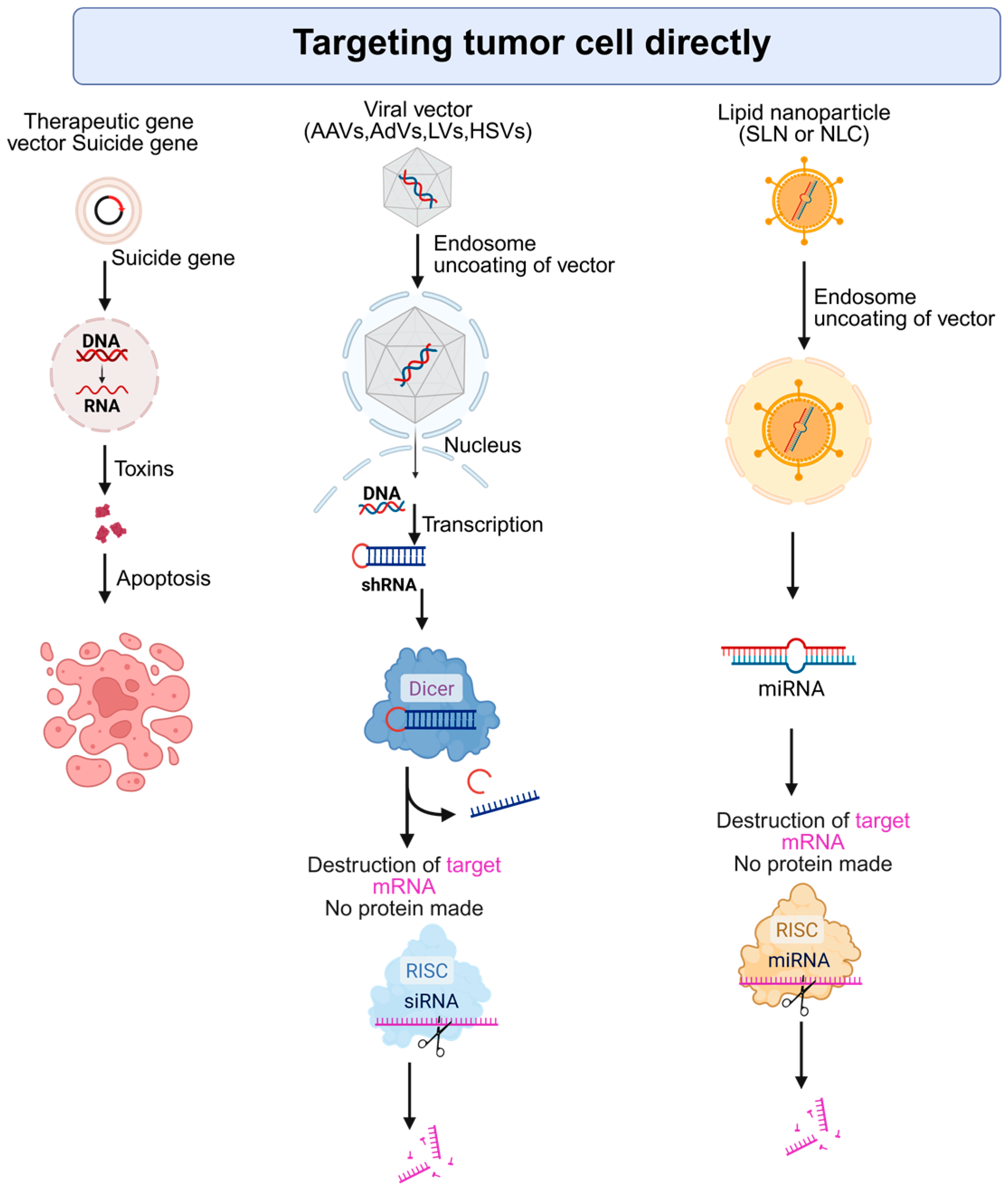 Cancers 17 03608 g002