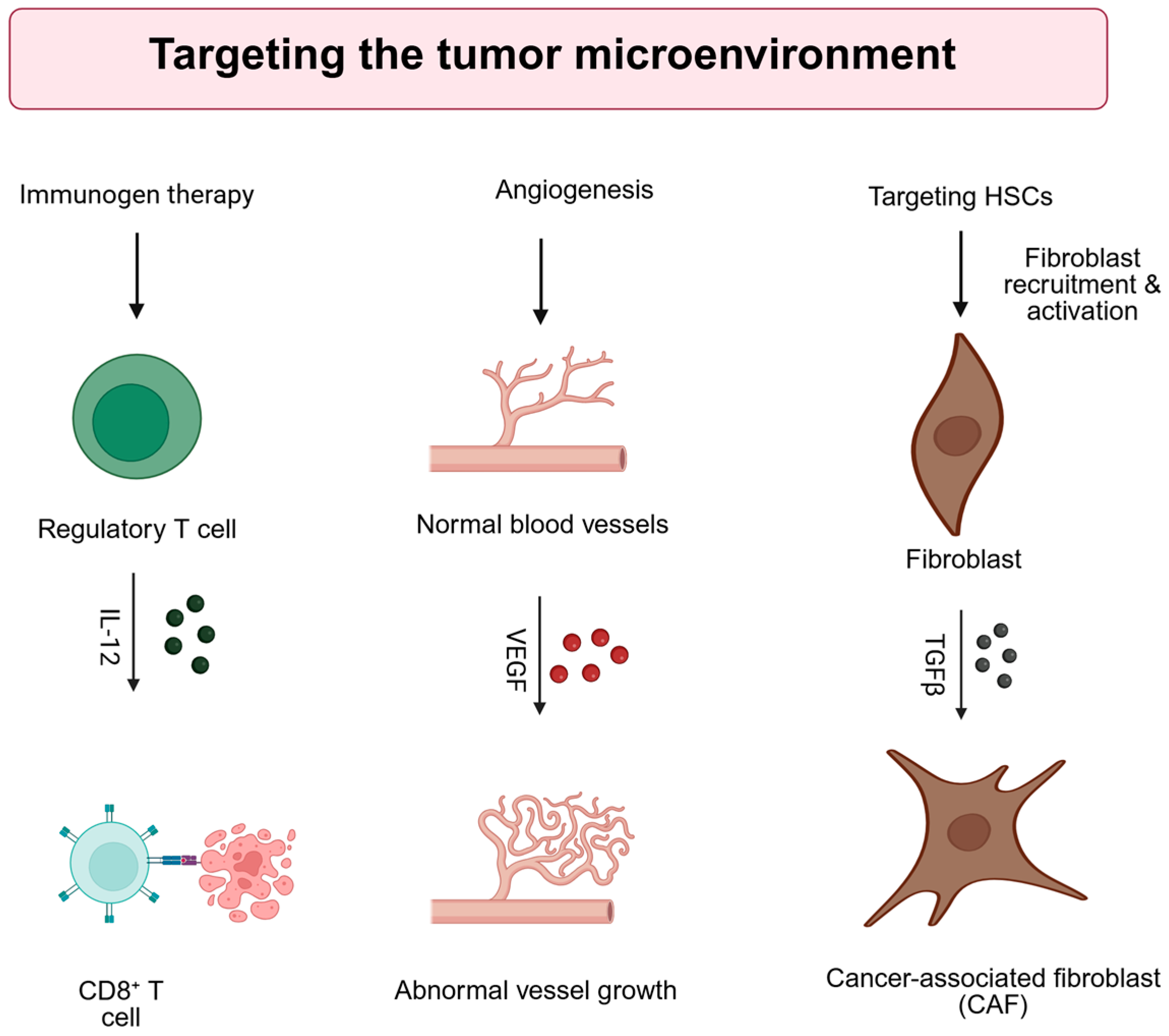 Cancers 17 03608 g003