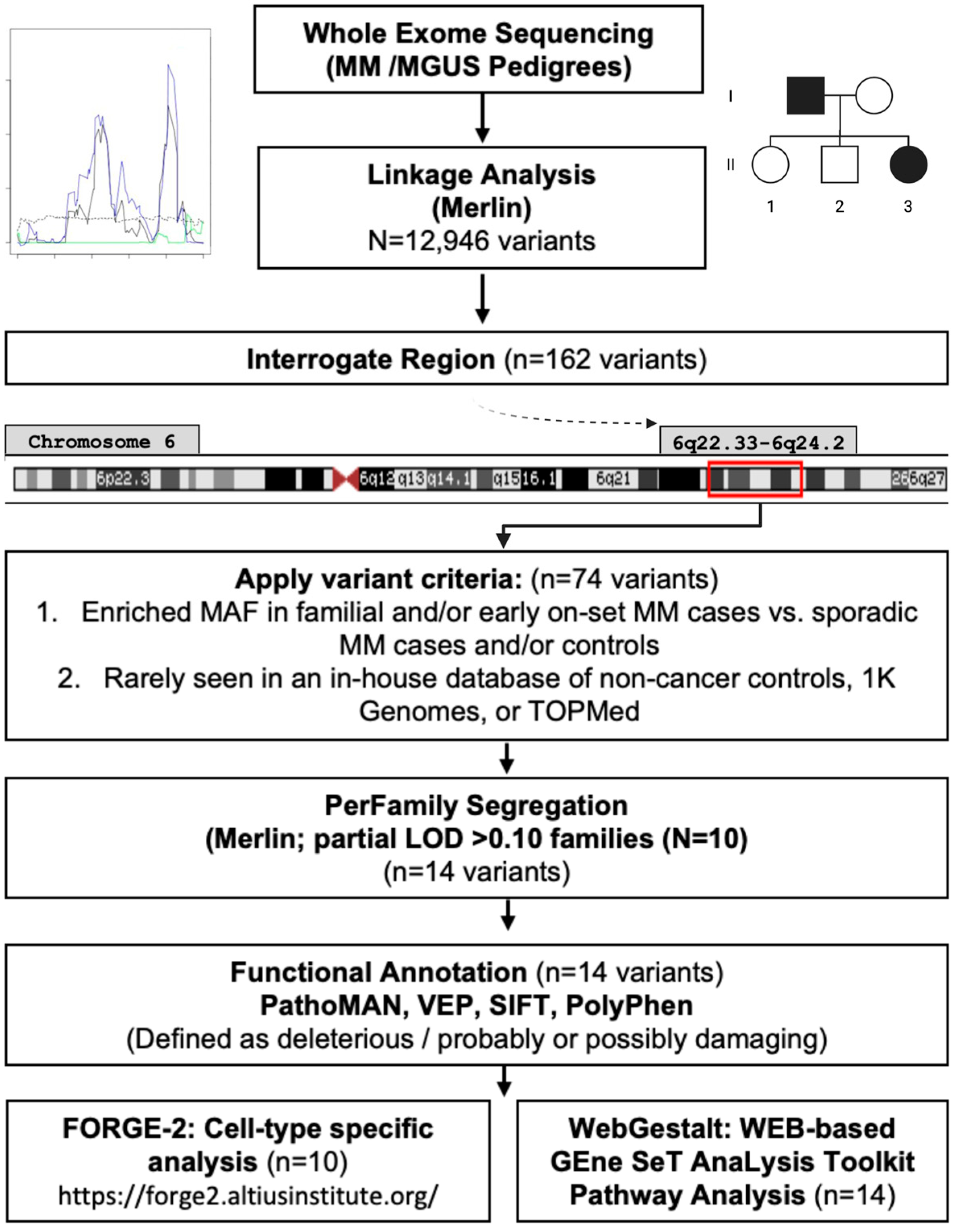 Cancers 17 03611 g001