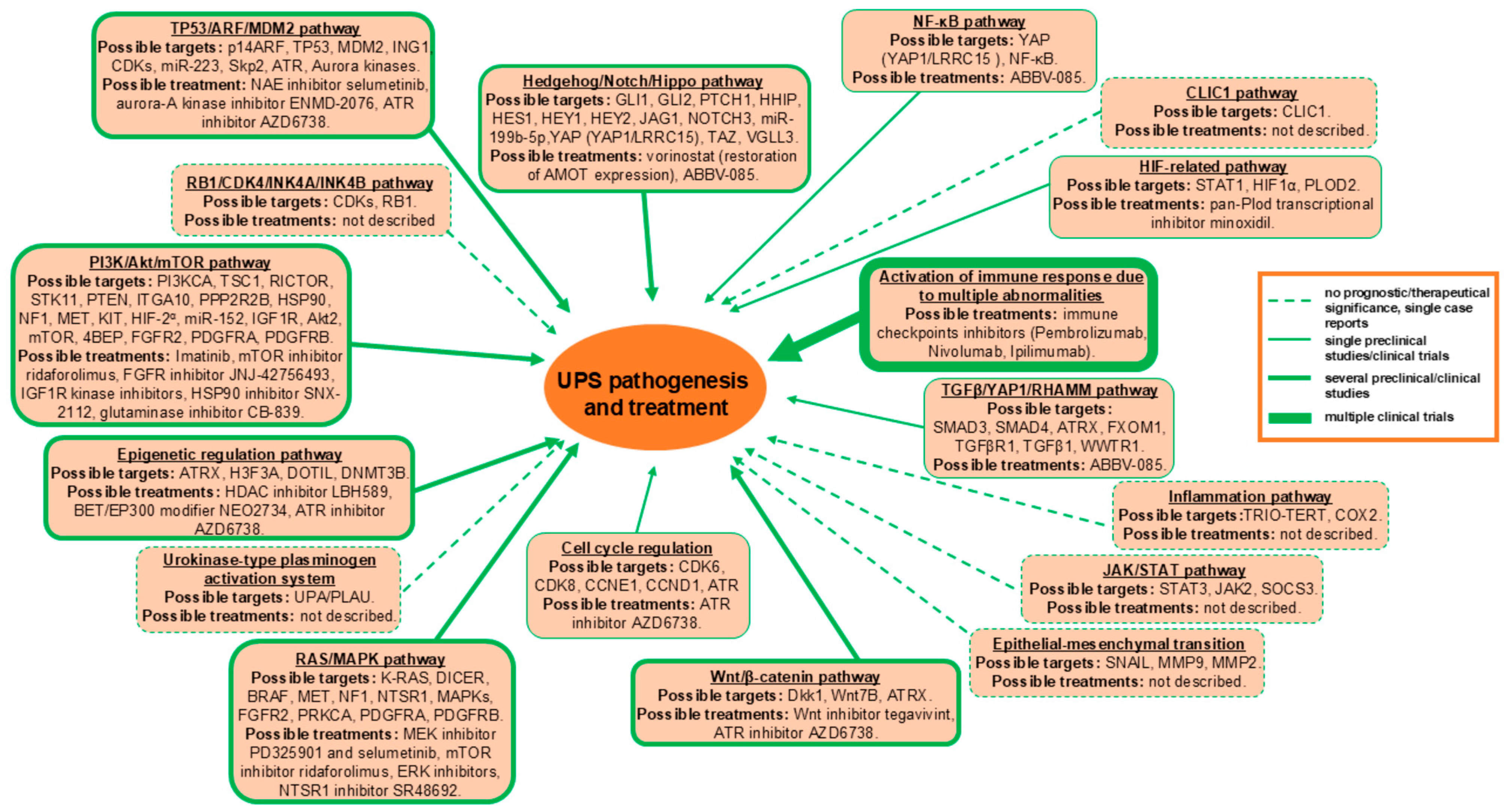 Cancers 17 03613 g001