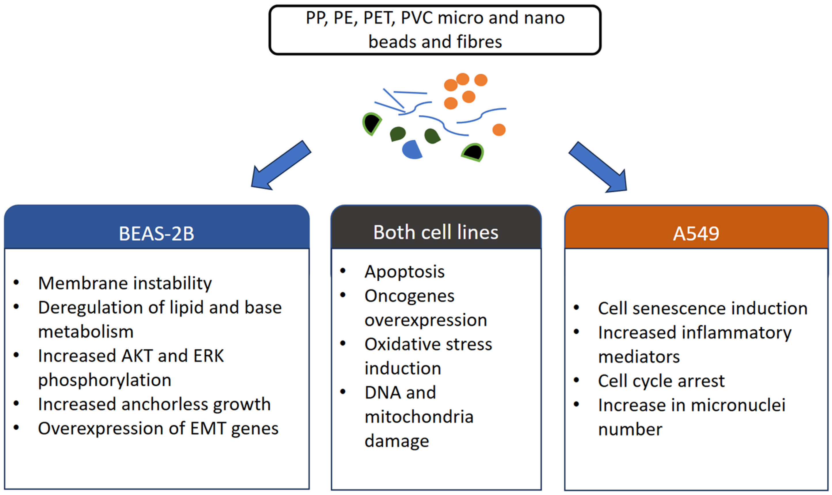 Cancers 17 03616 g001