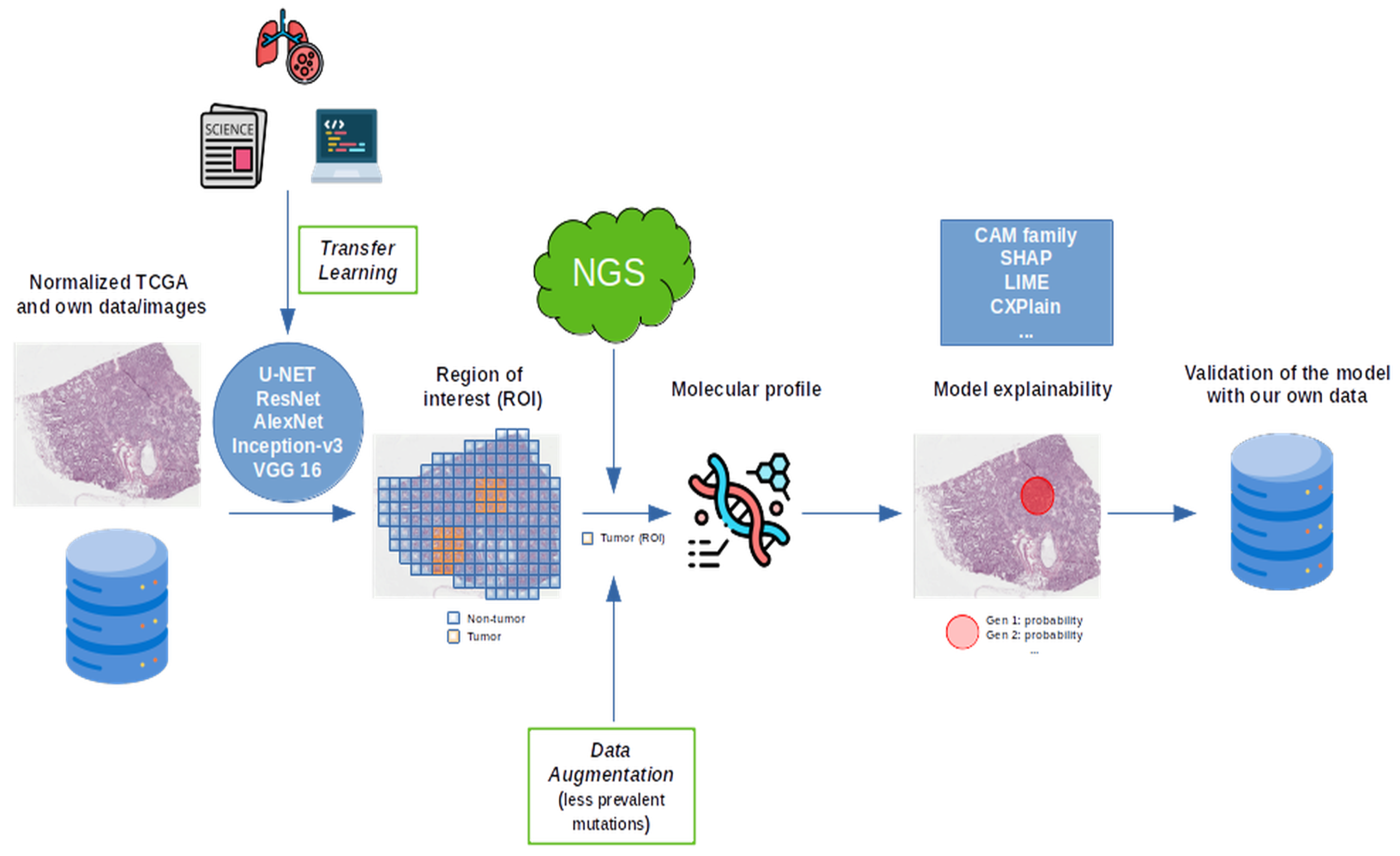 Cancers 17 03619 g010