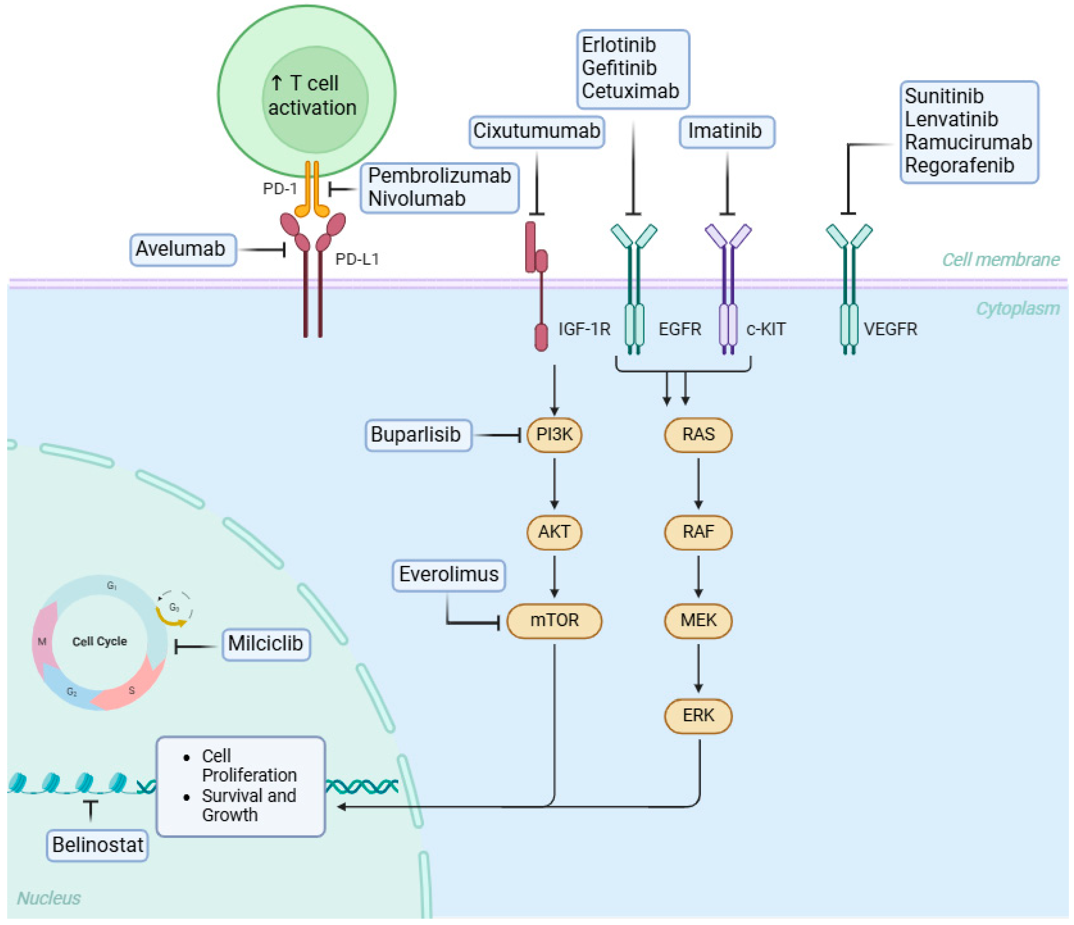 Cancers 17 03622 g001