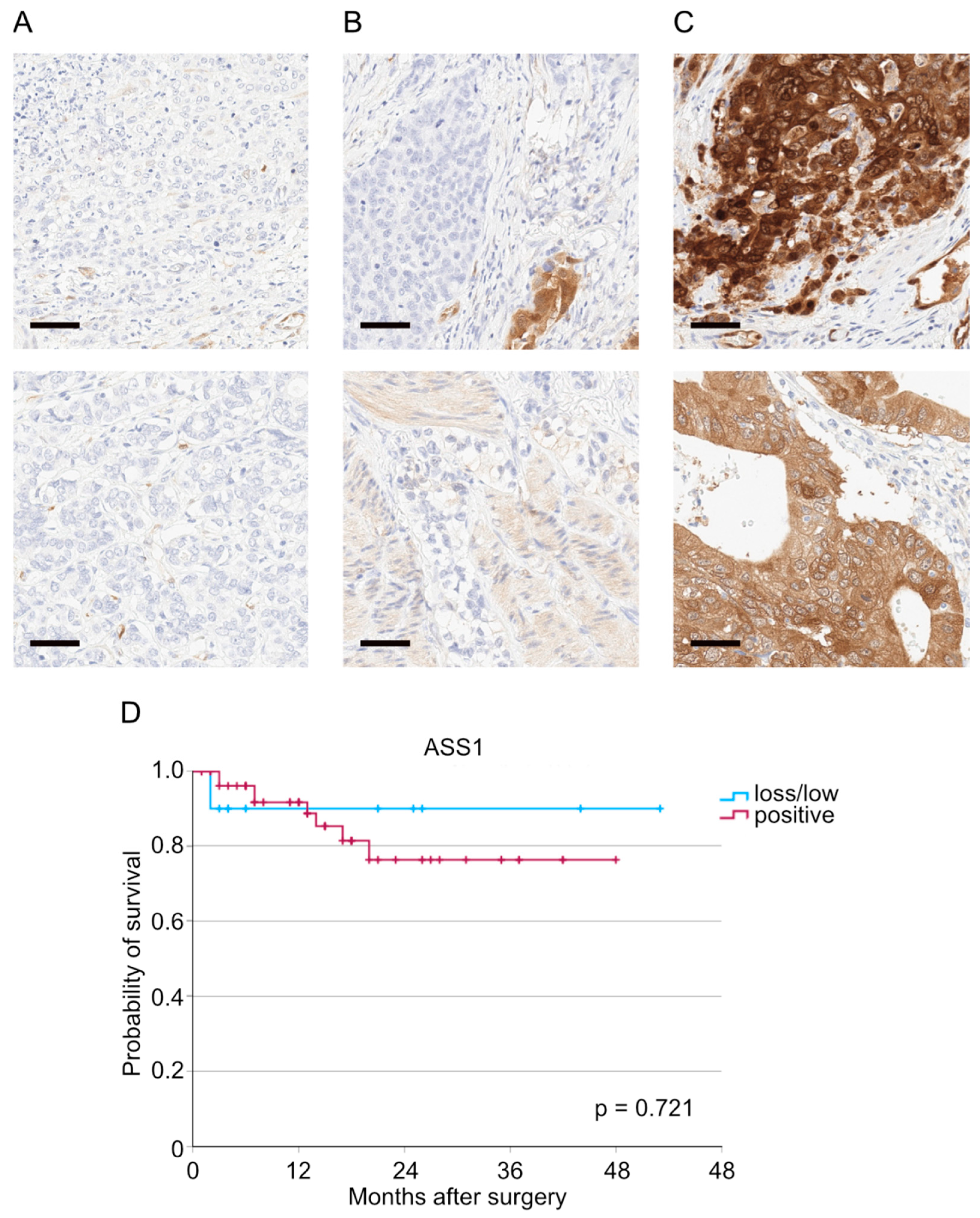 Cancers 17 03624 g001