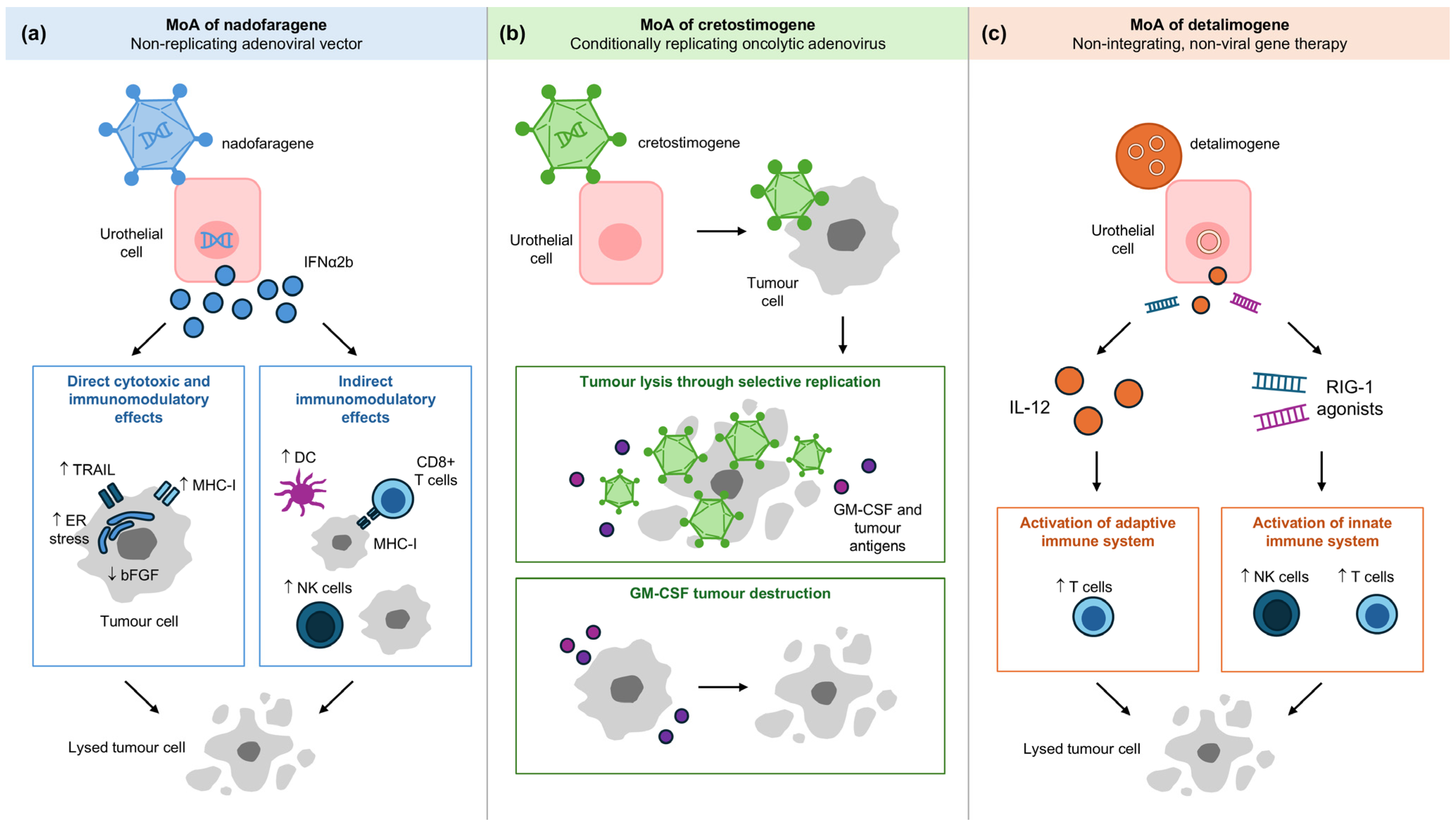 Cancers 17 03631 g003 Cancers 17 03631 g003