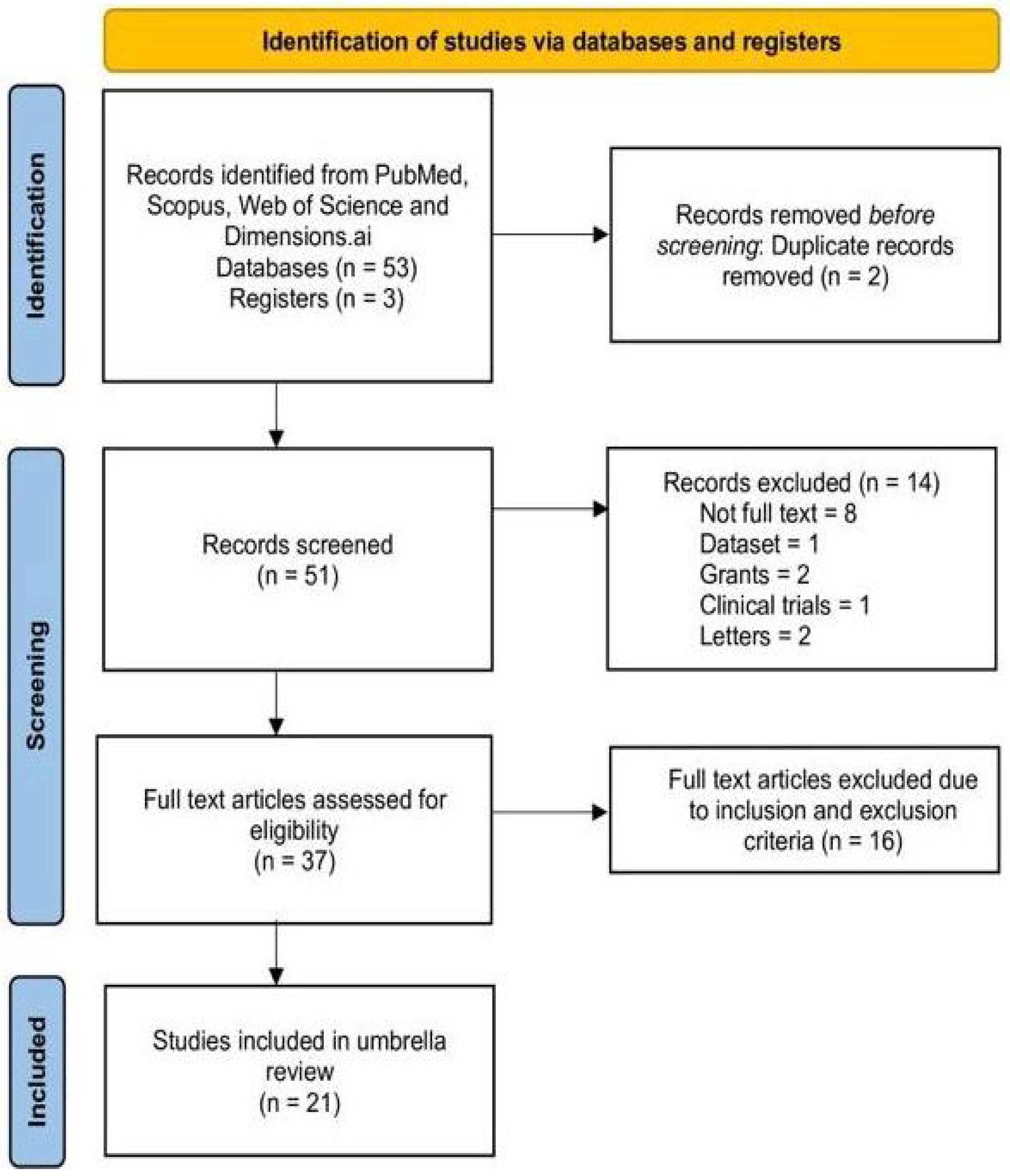 Cancers 17 03638 g001