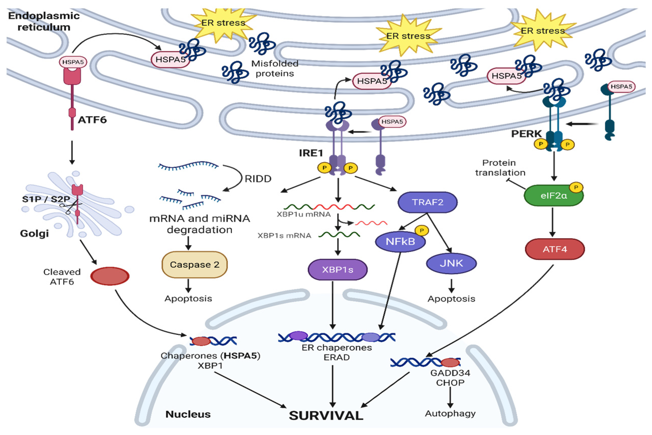 Cancers 17 03639 g001