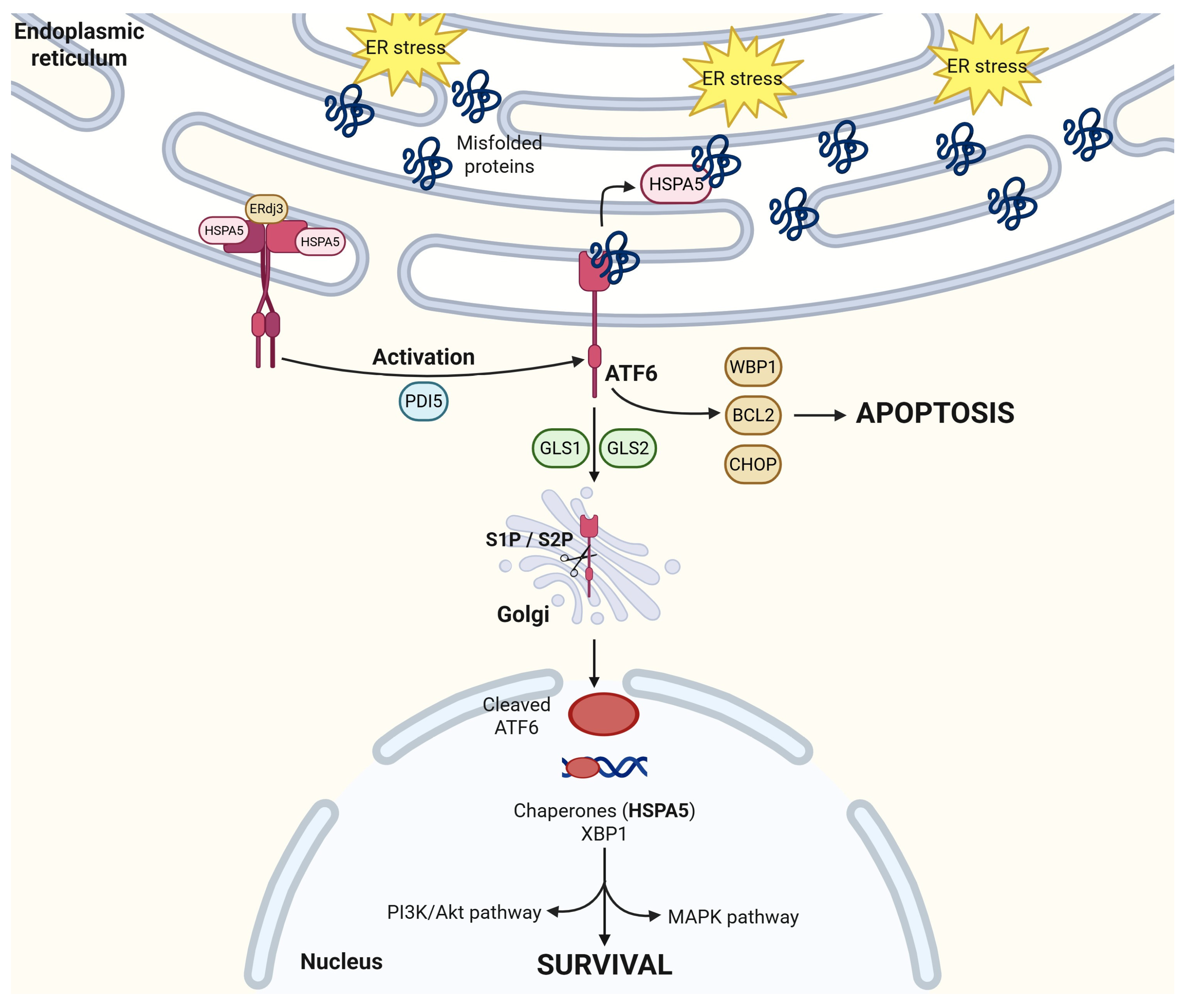 Cancers 17 03639 g003