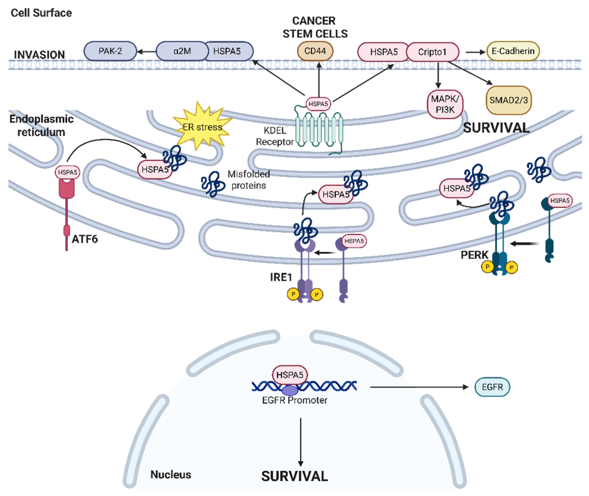 Cancers 17 03639 g005