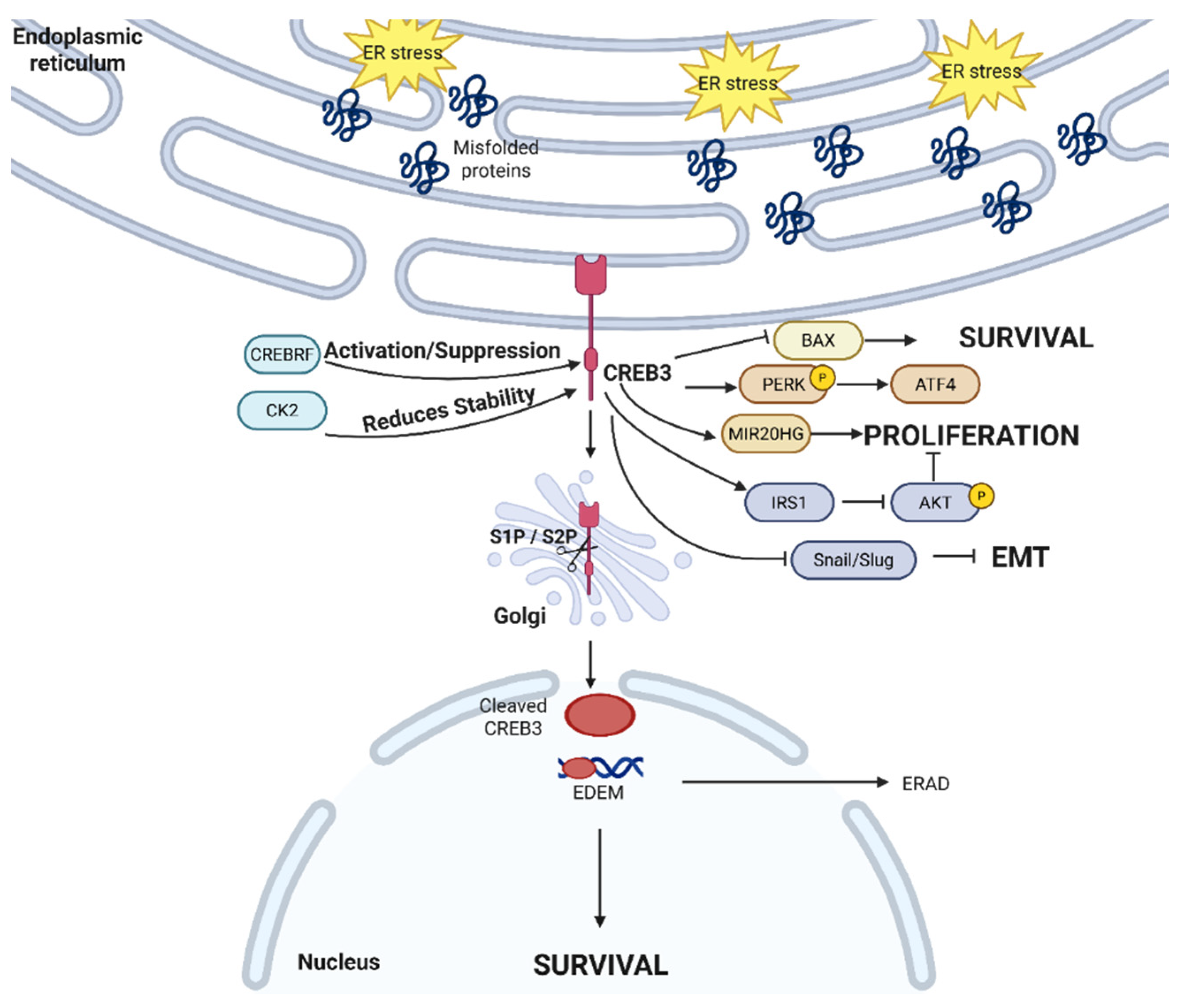 Cancers 17 03639 g006