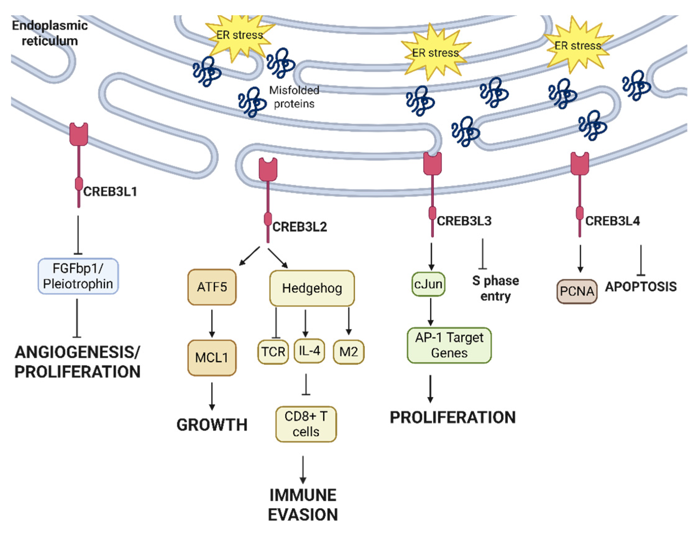 Cancers 17 03639 g007