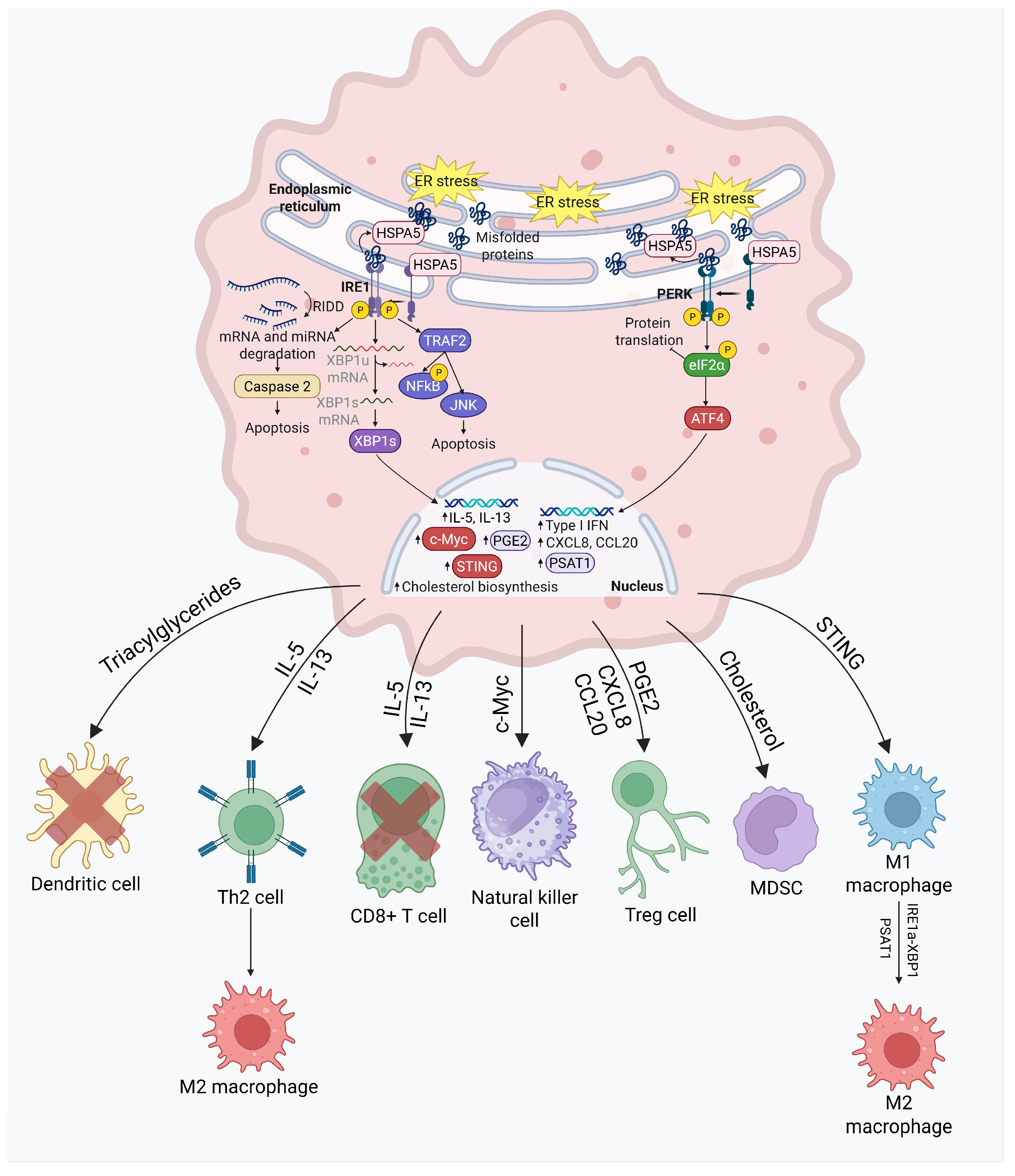Cancers 17 03639 g008