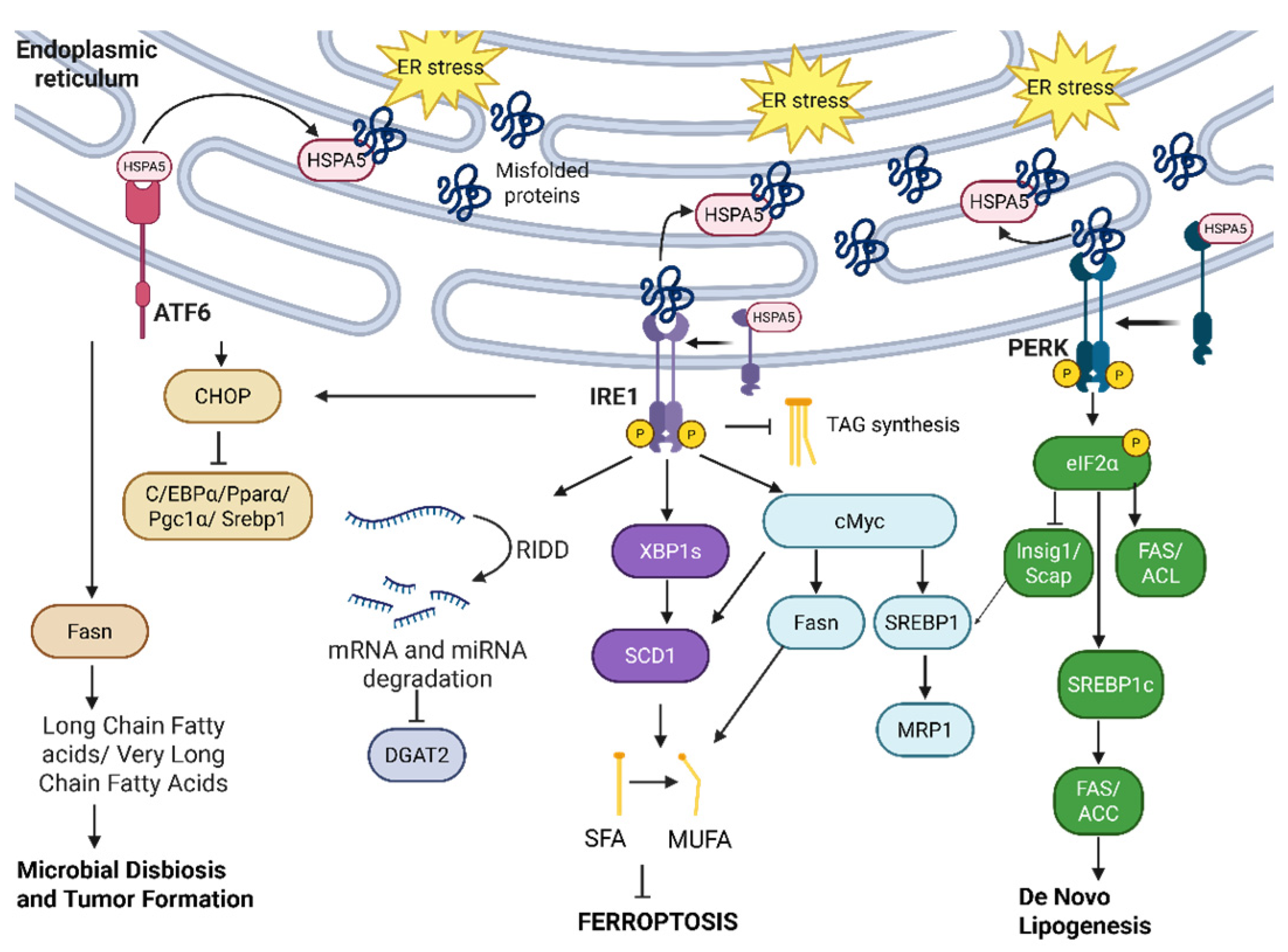 Cancers 17 03639 g009