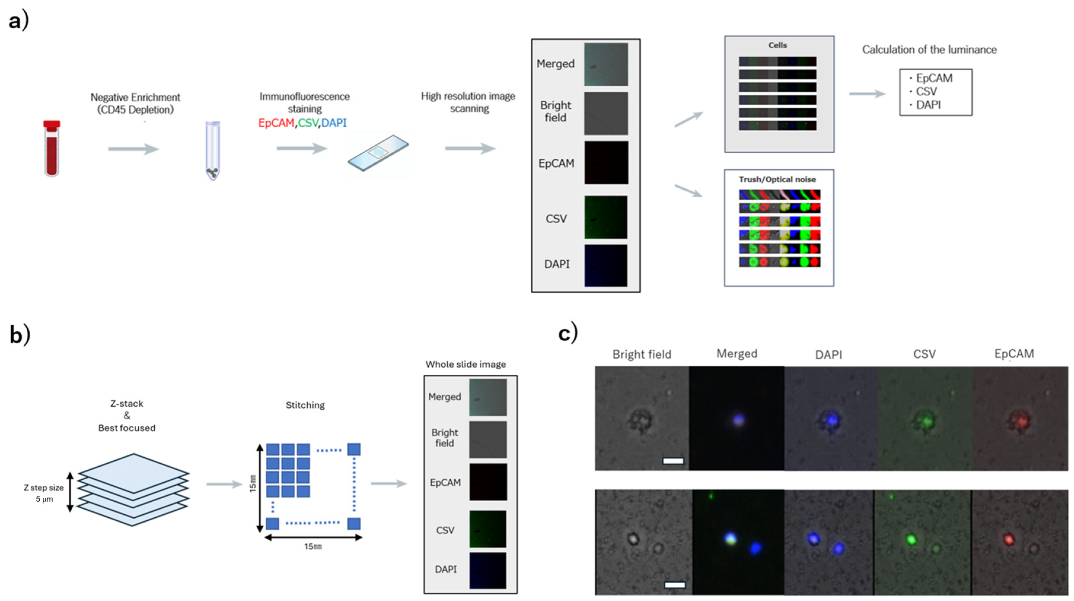 Cancers 17 03640 g001