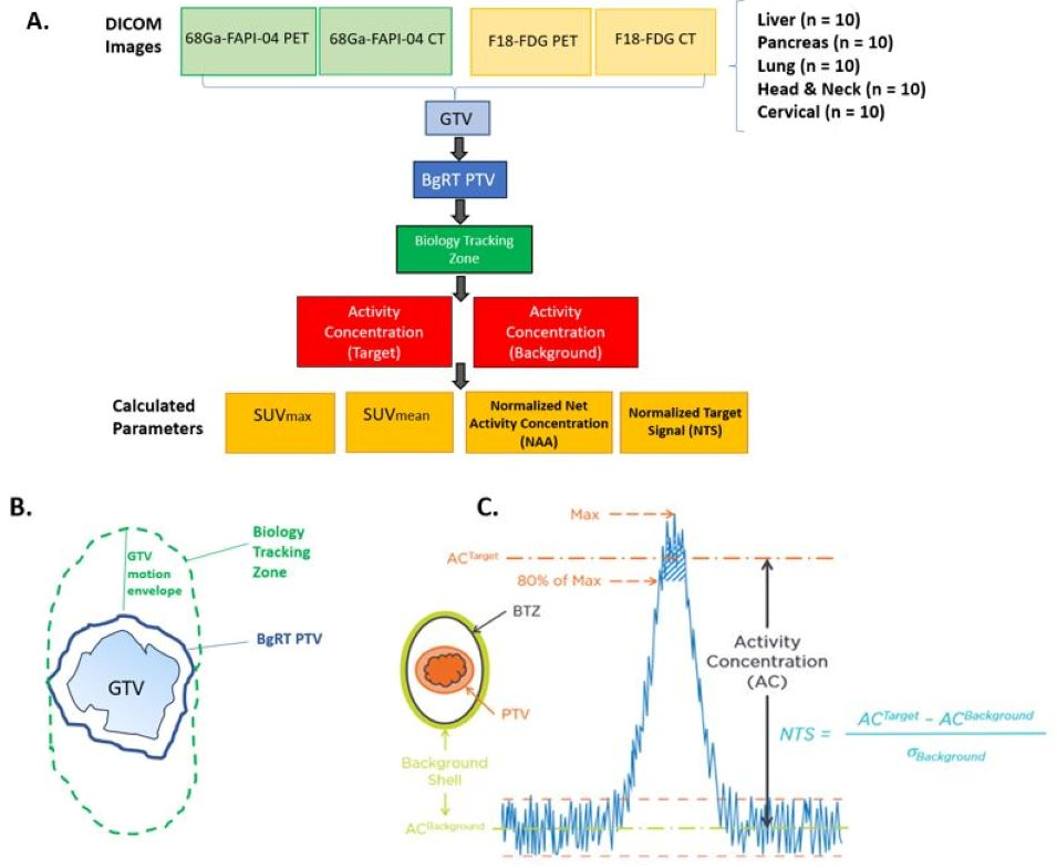 Cancers 17 03648 g001