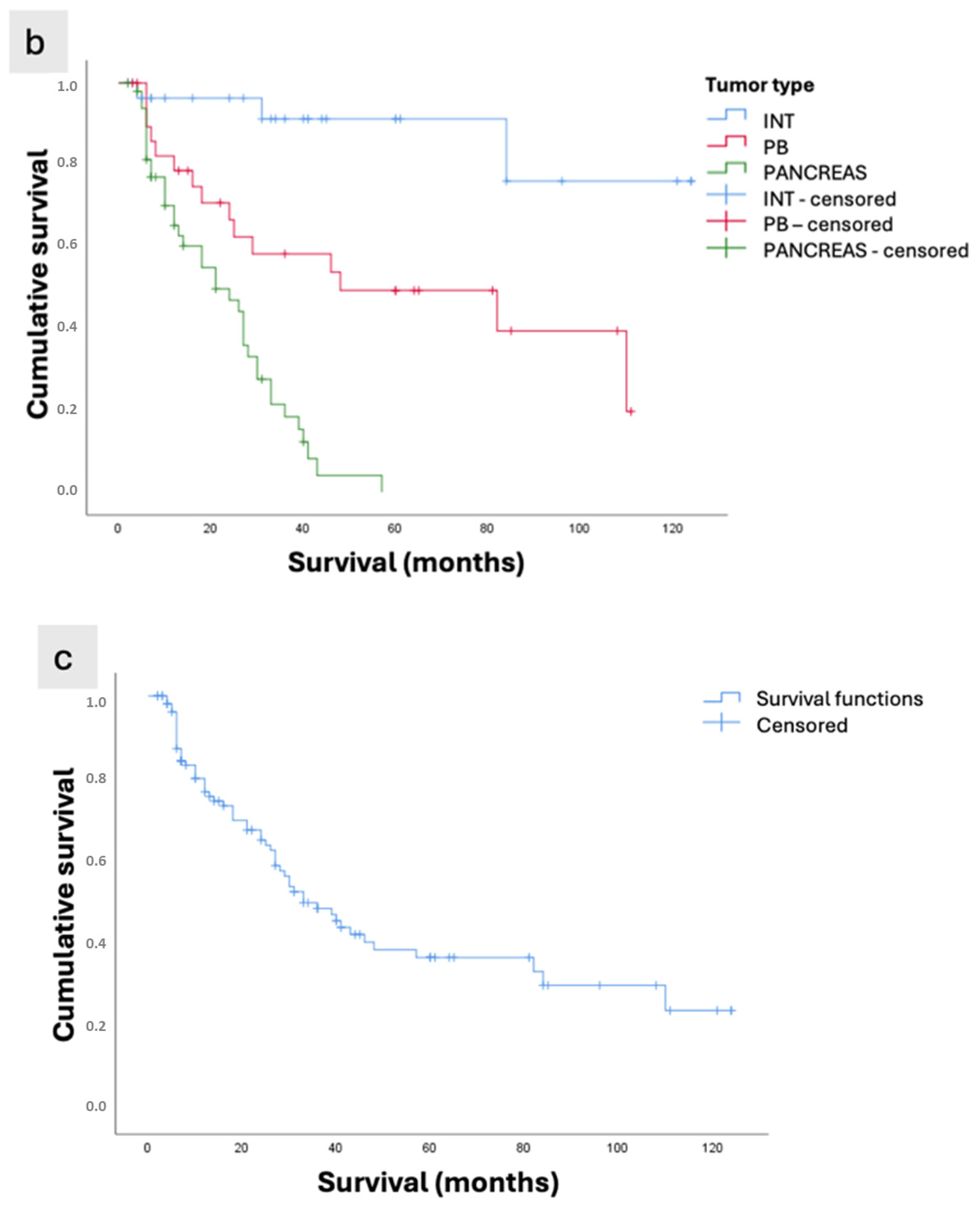 Cancers 17 03652 g003b Cancers 17 03652 g003b