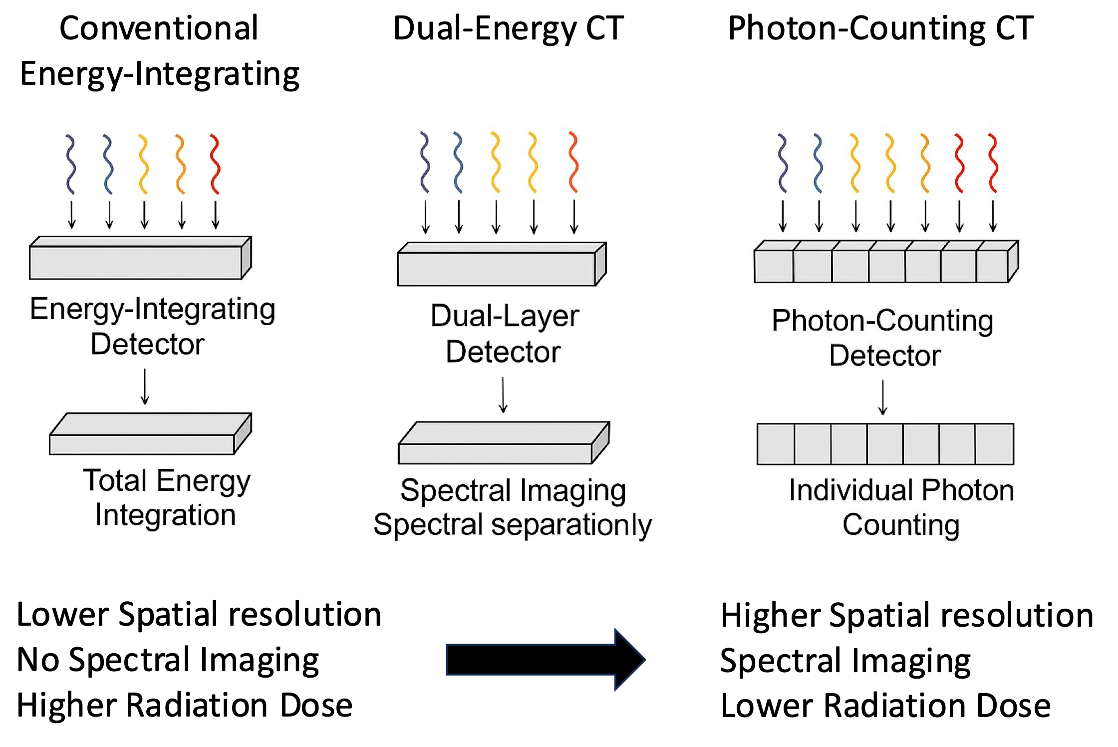 Cancers 17 03656 g001