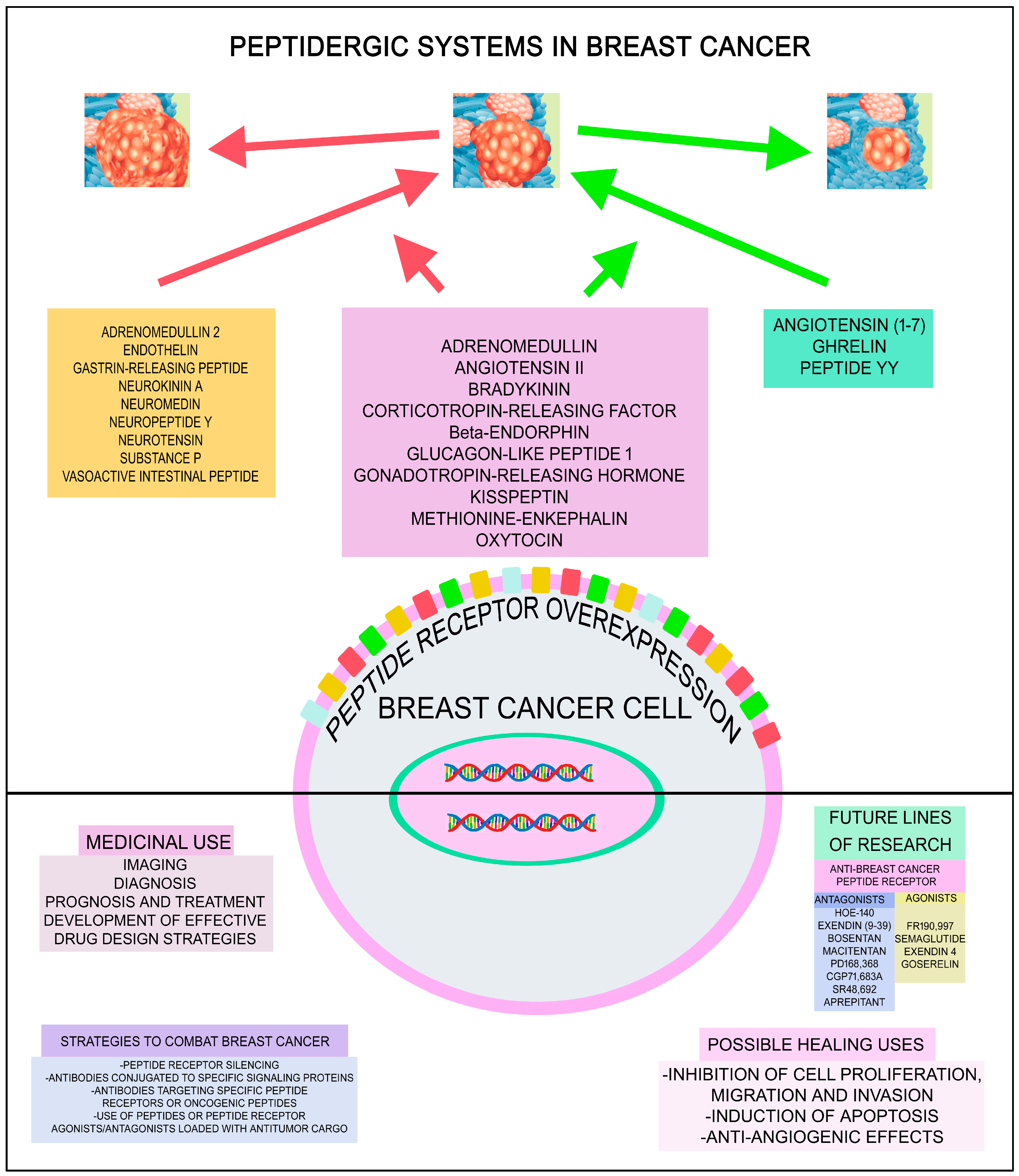 Cancers 17 03662 g002 Cancers 17 03662 g002