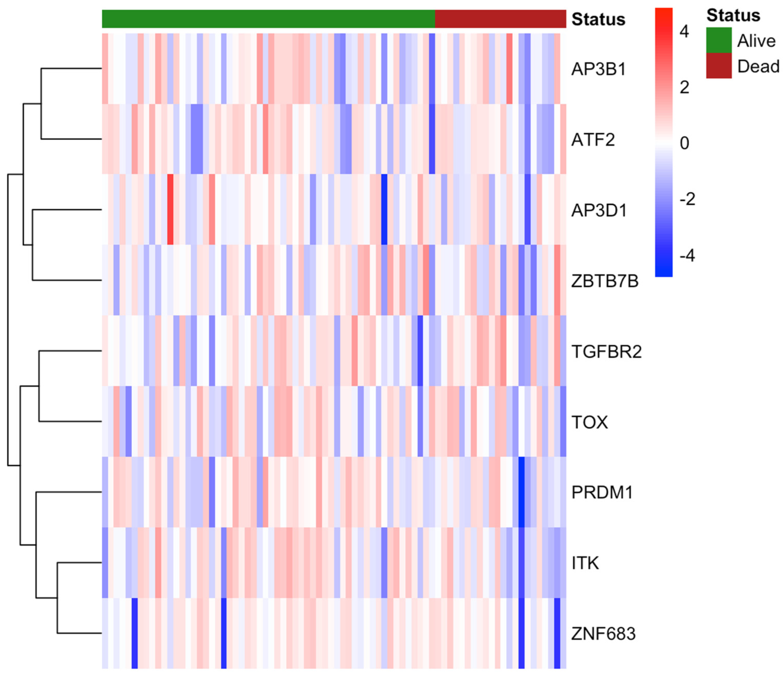 Cancers 17 03666 g005