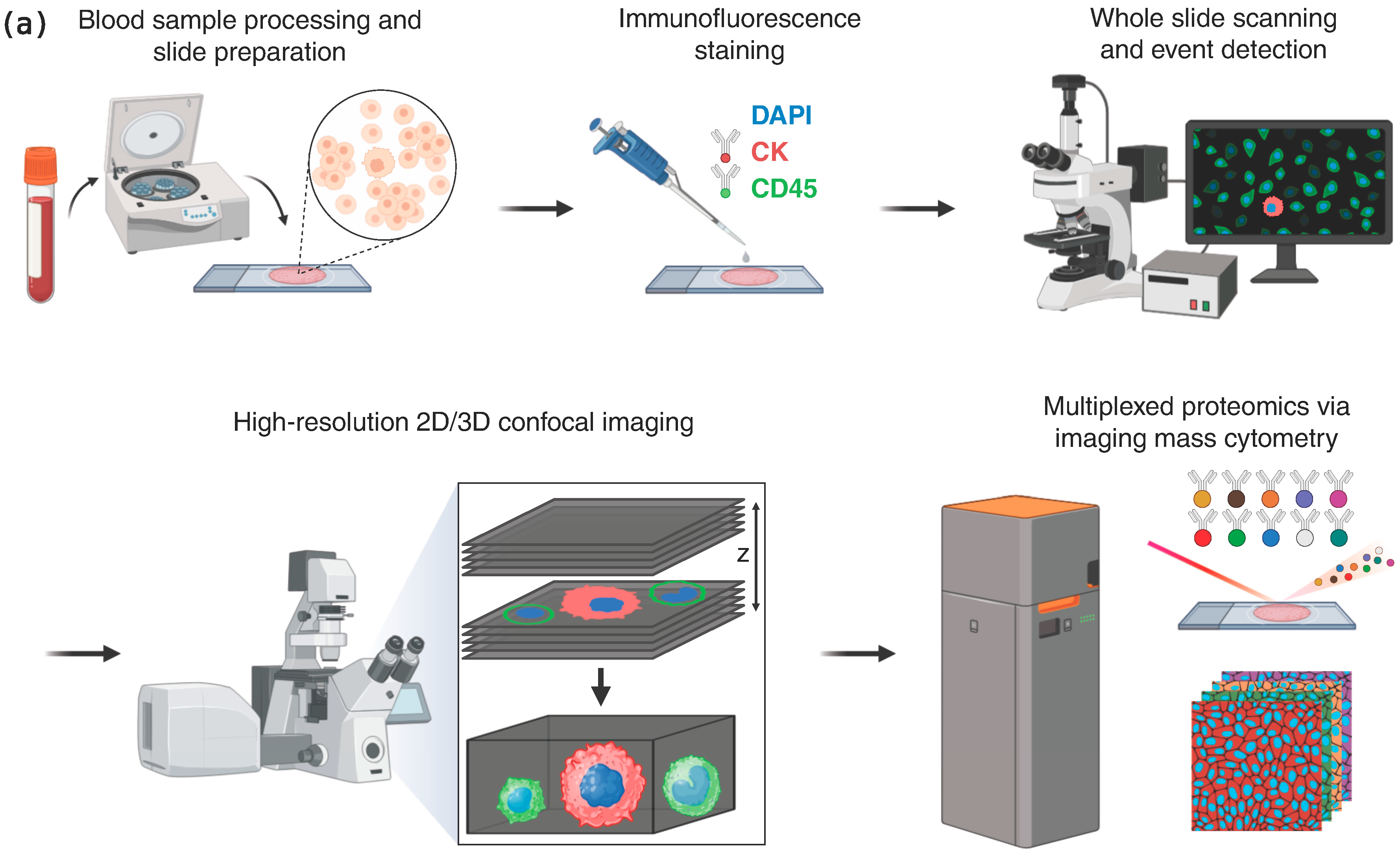 Cancers 17 03667 g001a Cancers 17 03667 g001a