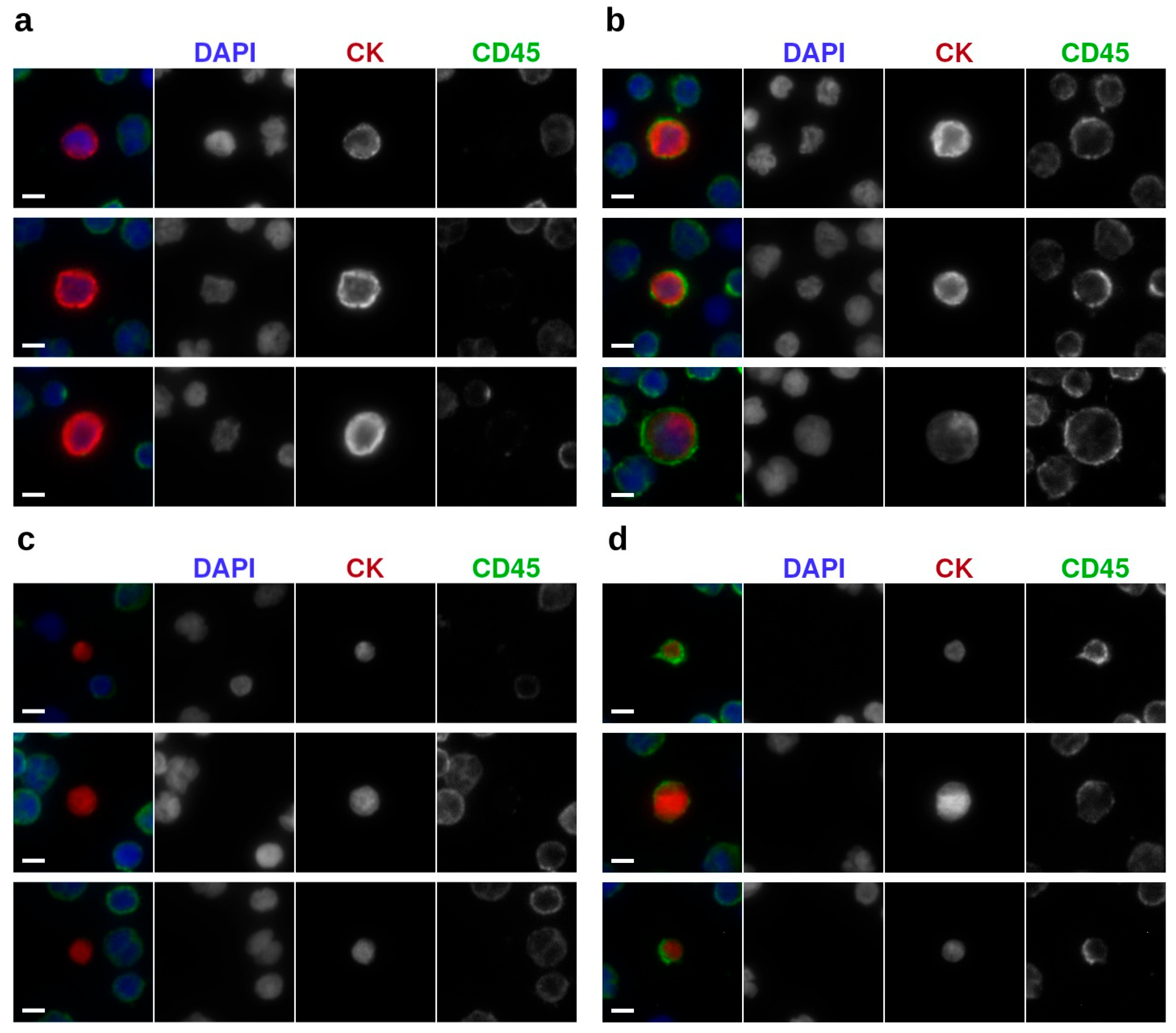 Cancers 17 03667 g002 Cancers 17 03667 g002