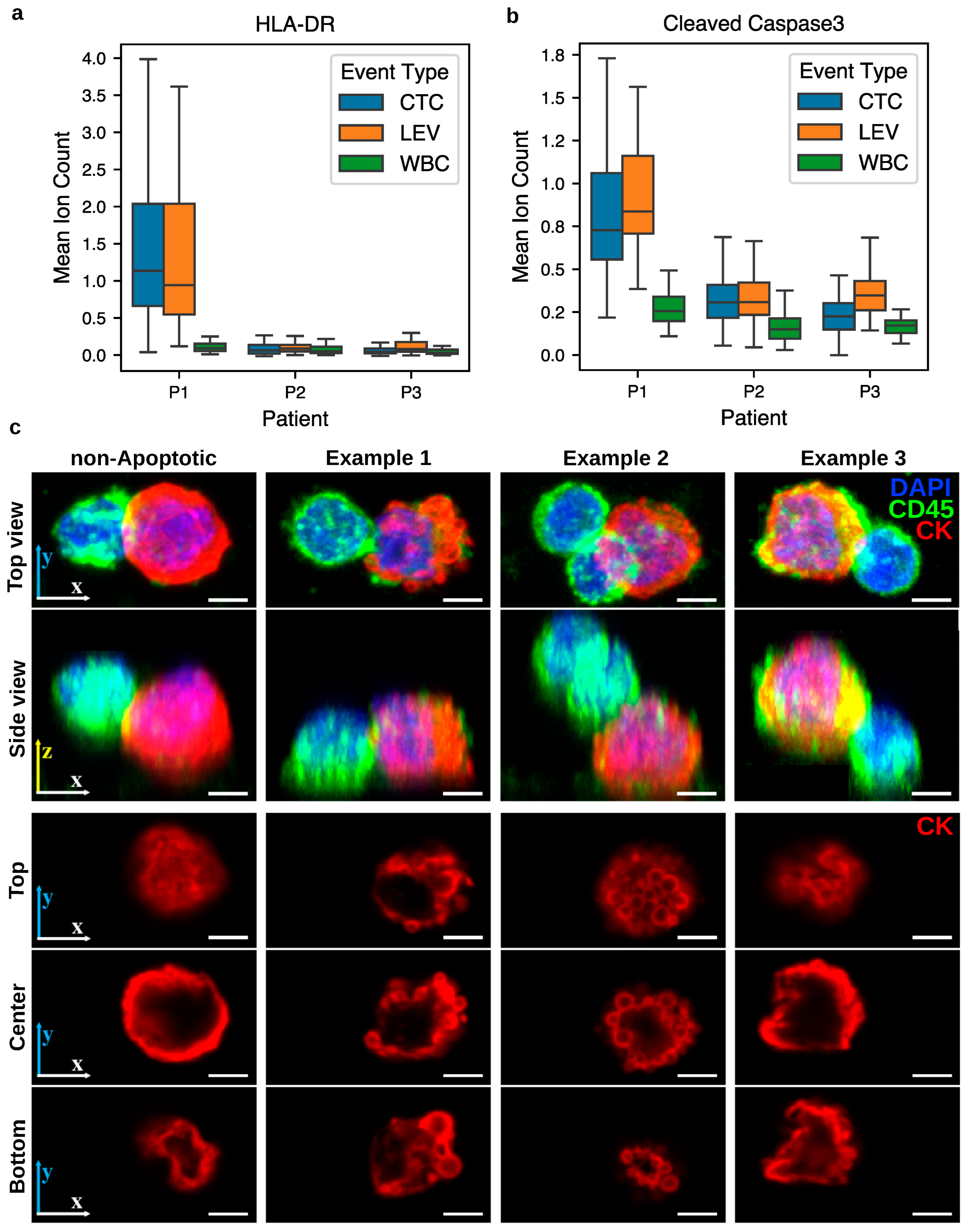 Cancers 17 03667 g007 Cancers 17 03667 g007