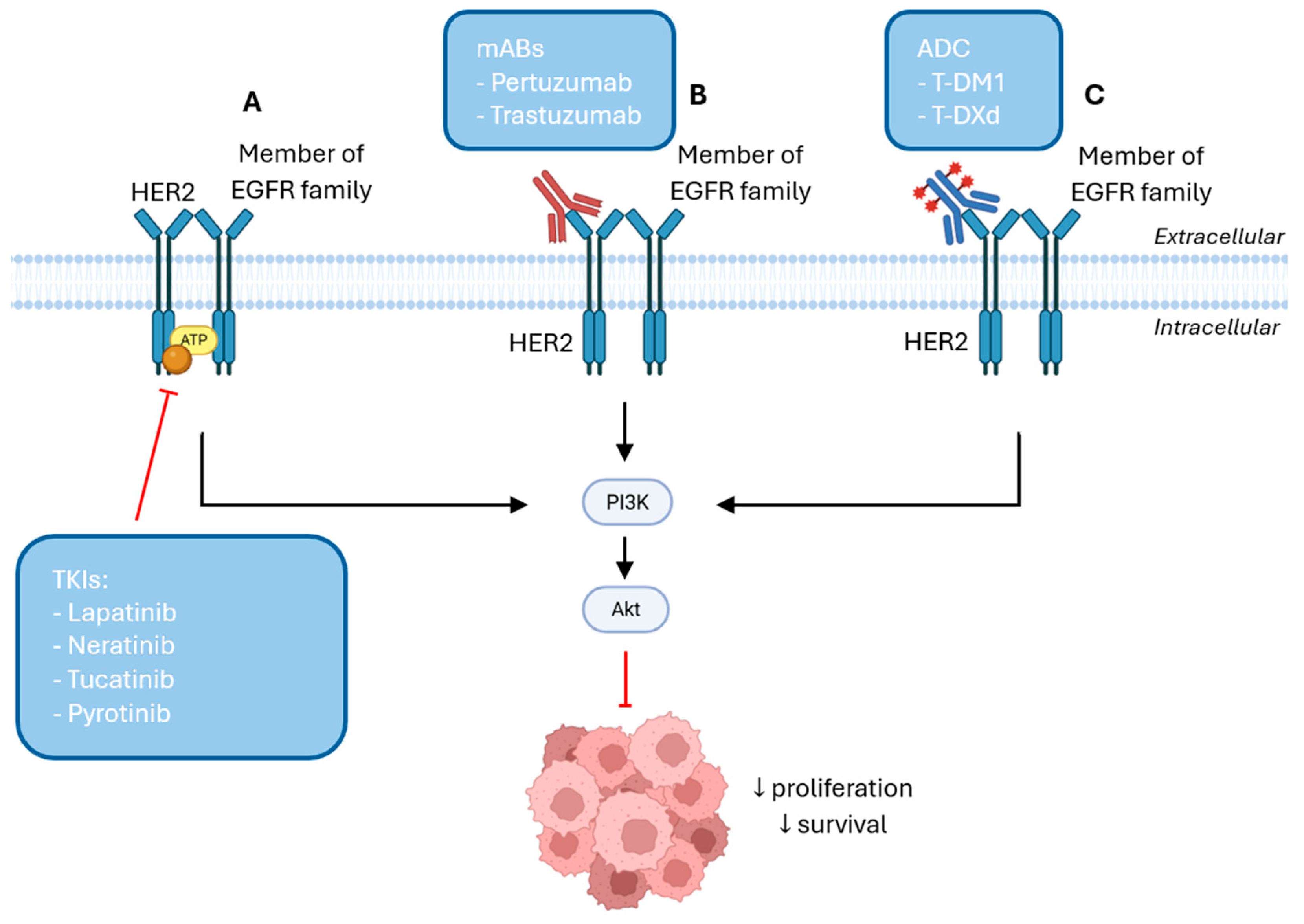 Cancers 17 03672 g002 Cancers 17 03672 g002