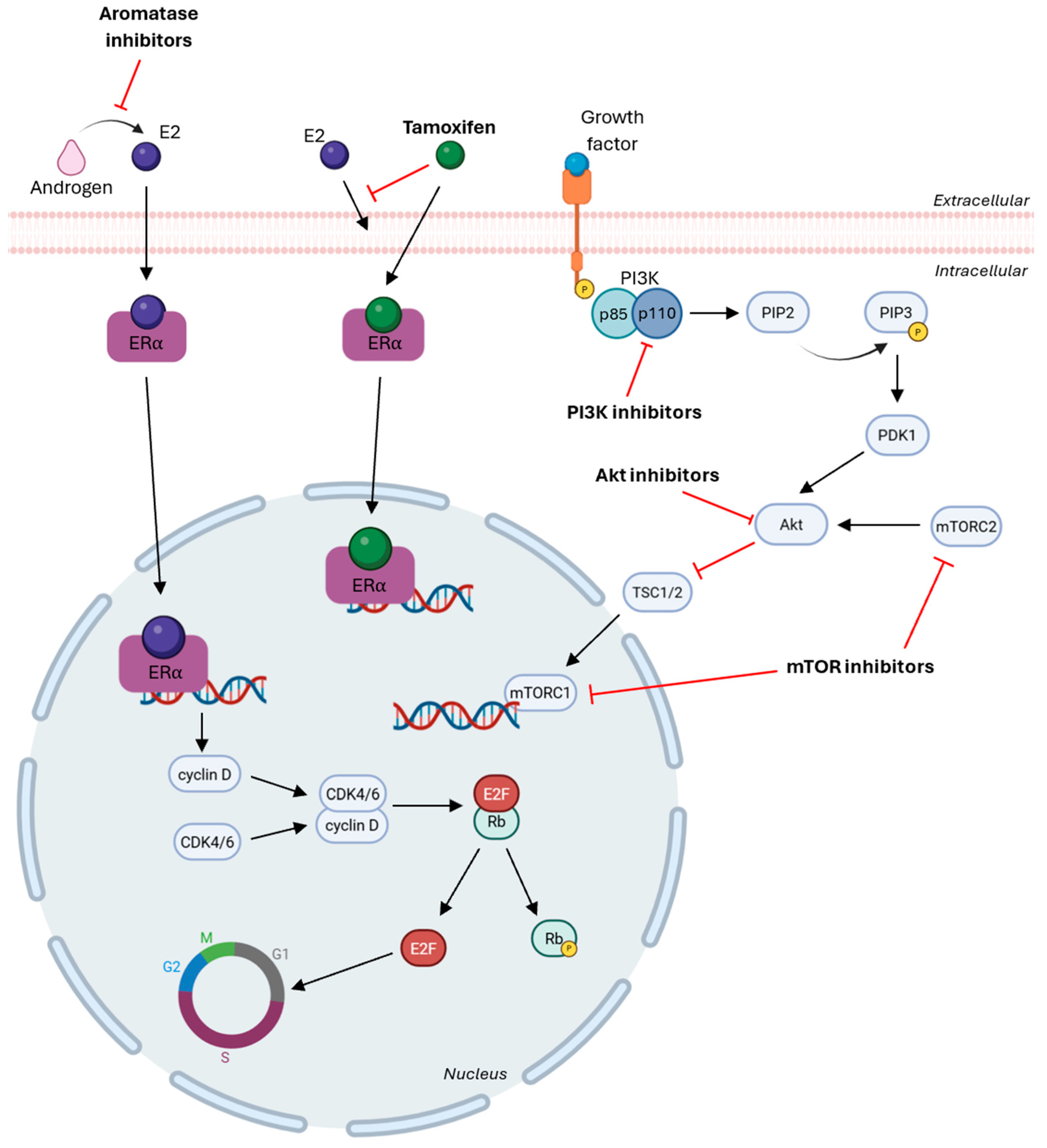 Cancers 17 03672 g003 Cancers 17 03672 g003