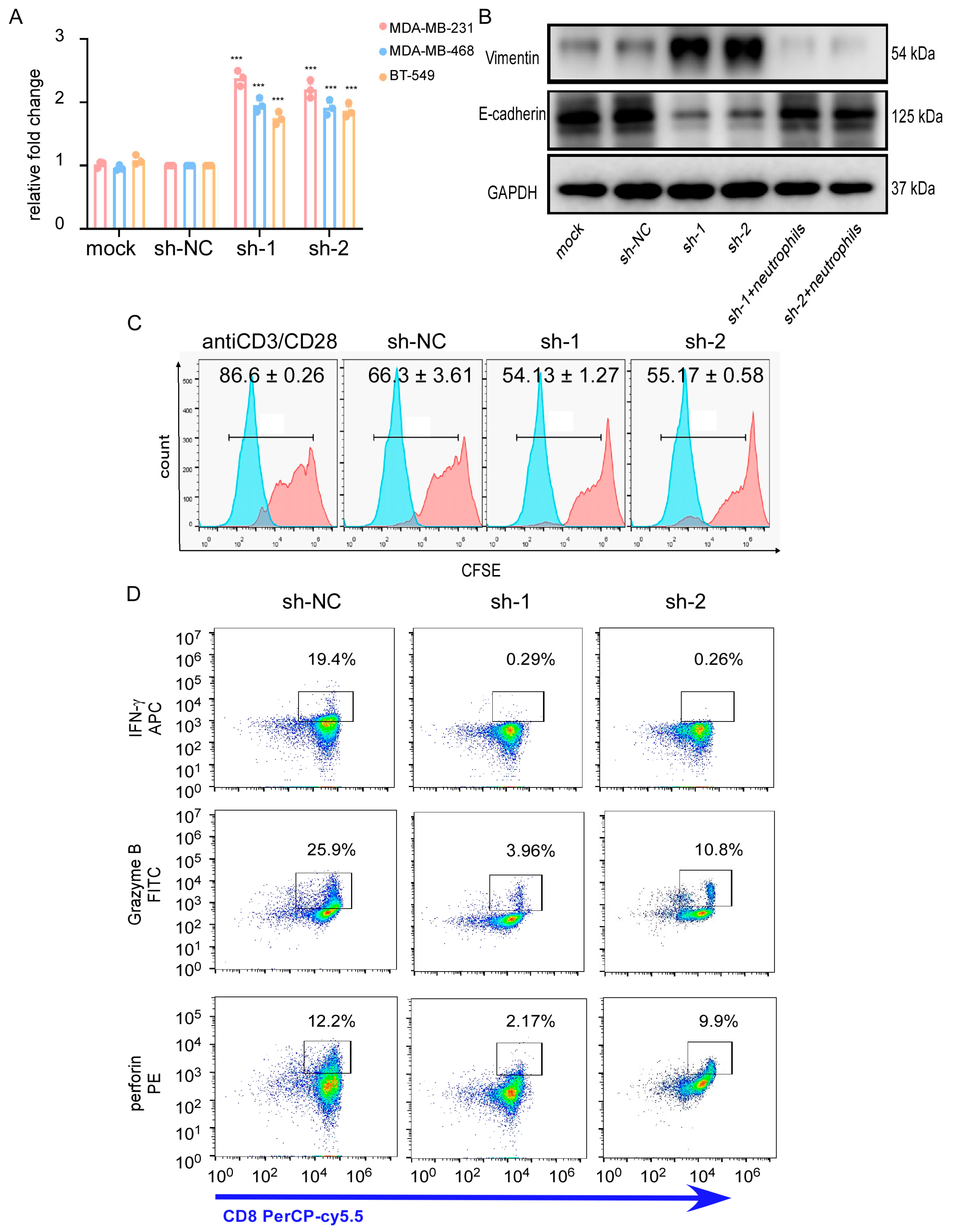 Cancers 17 03674 g006 Cancers 17 03674 g006