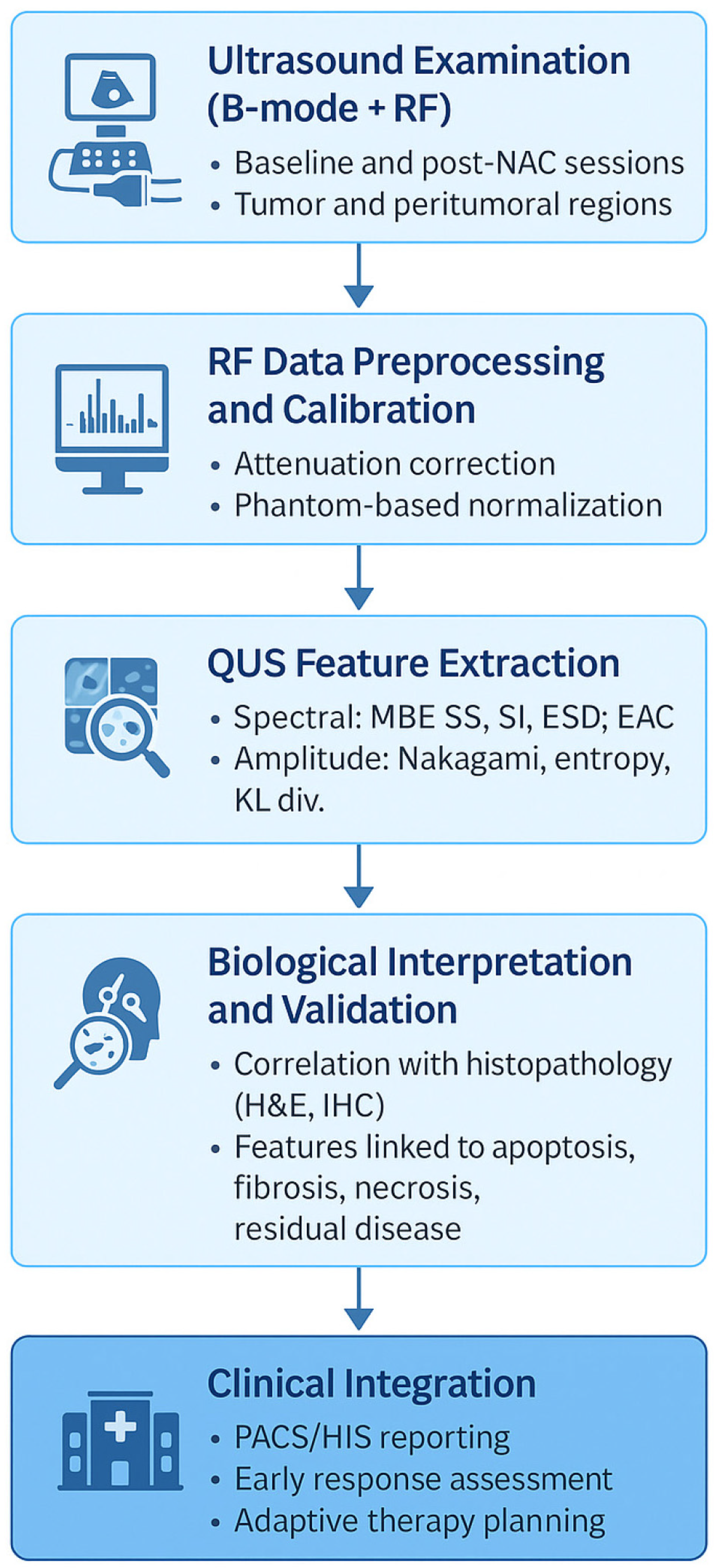 Cancers 17 03676 g001