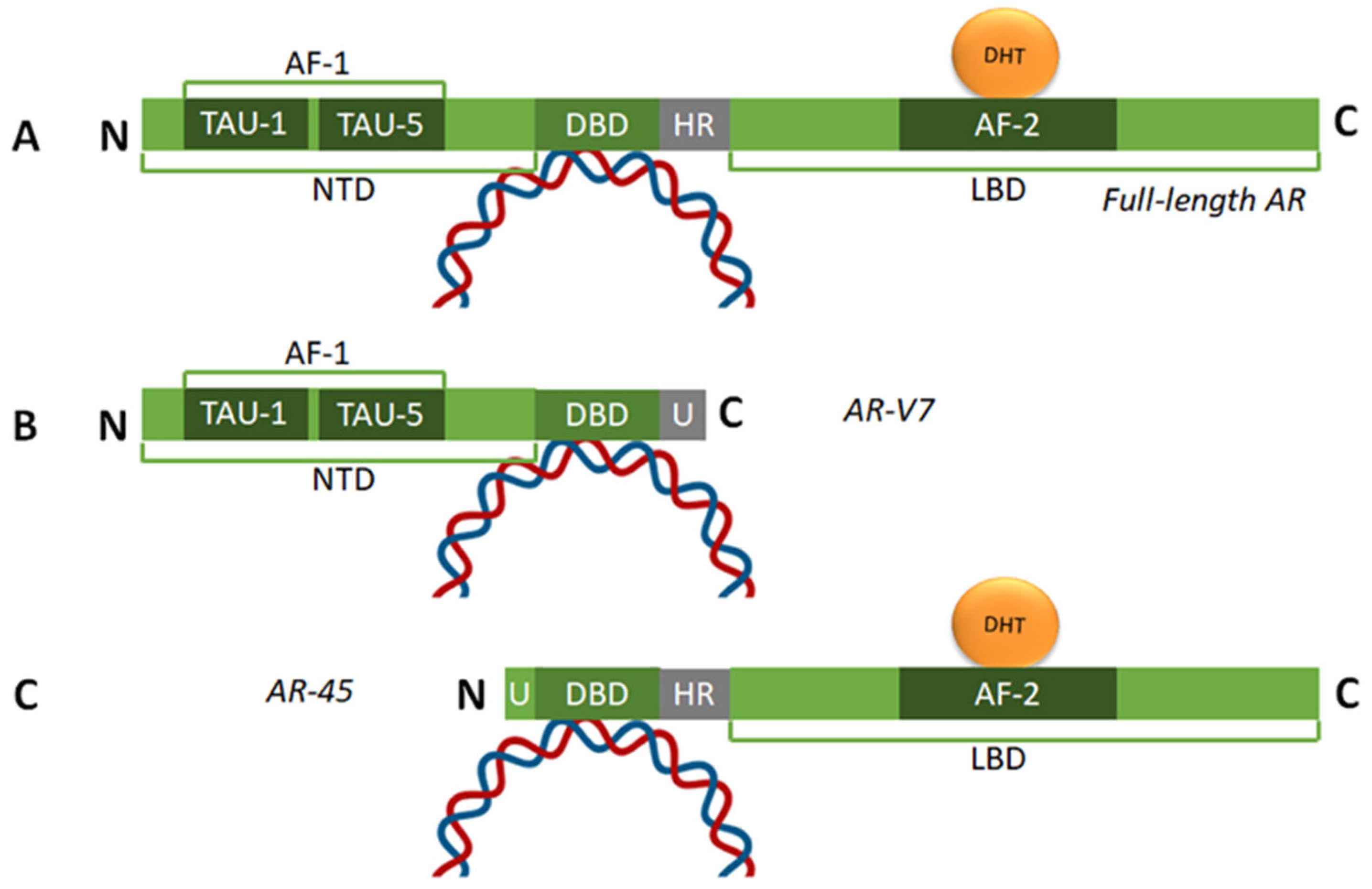 Cancers 17 03680 g001