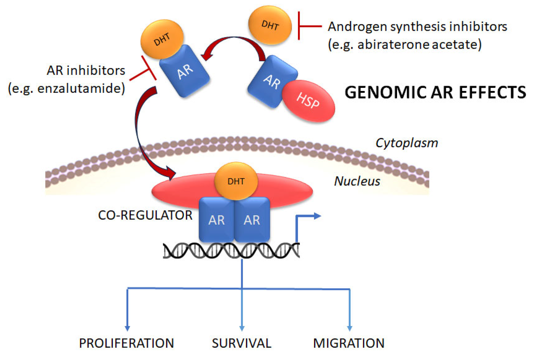 Cancers 17 03680 g002