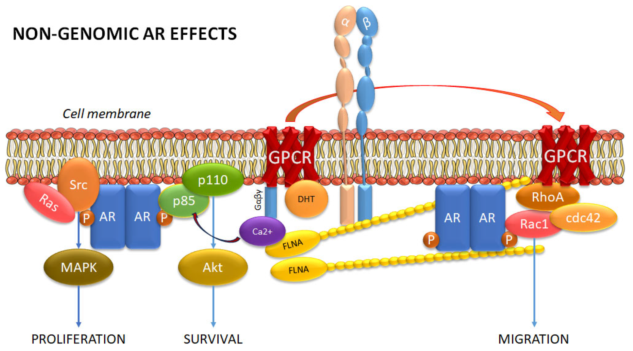 Cancers 17 03680 g004
