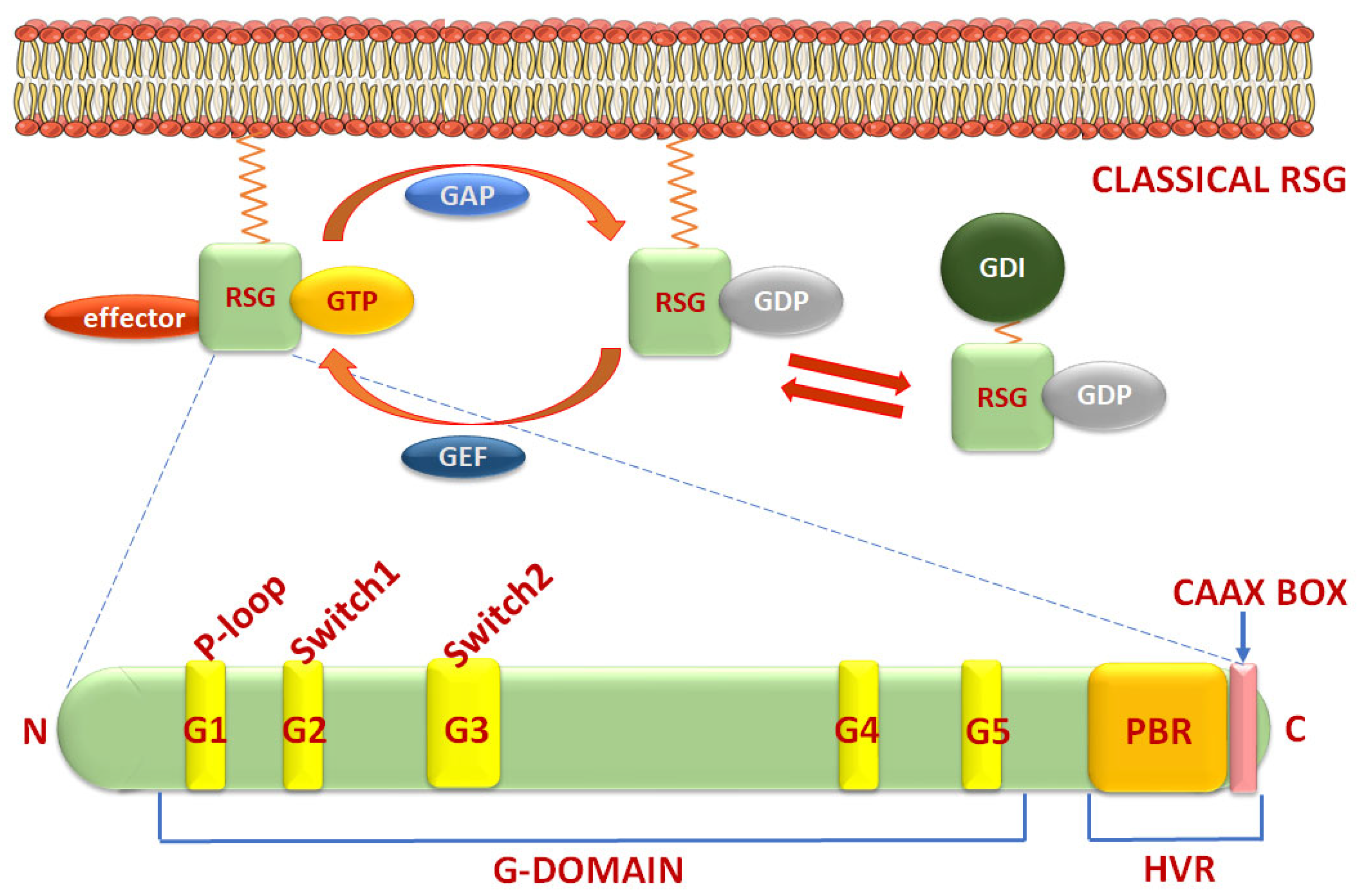 Cancers 17 03680 g005