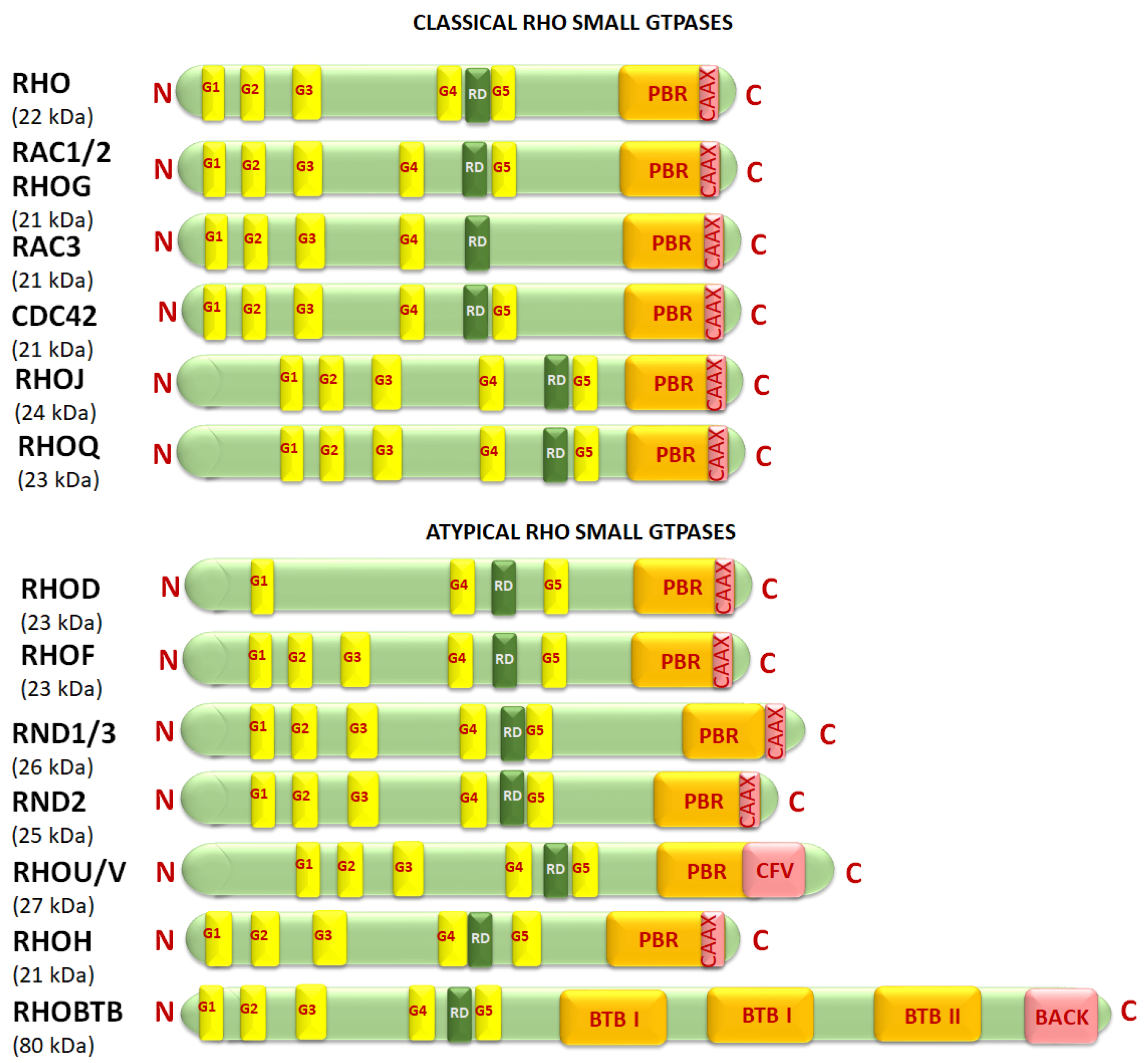 Cancers 17 03680 g006