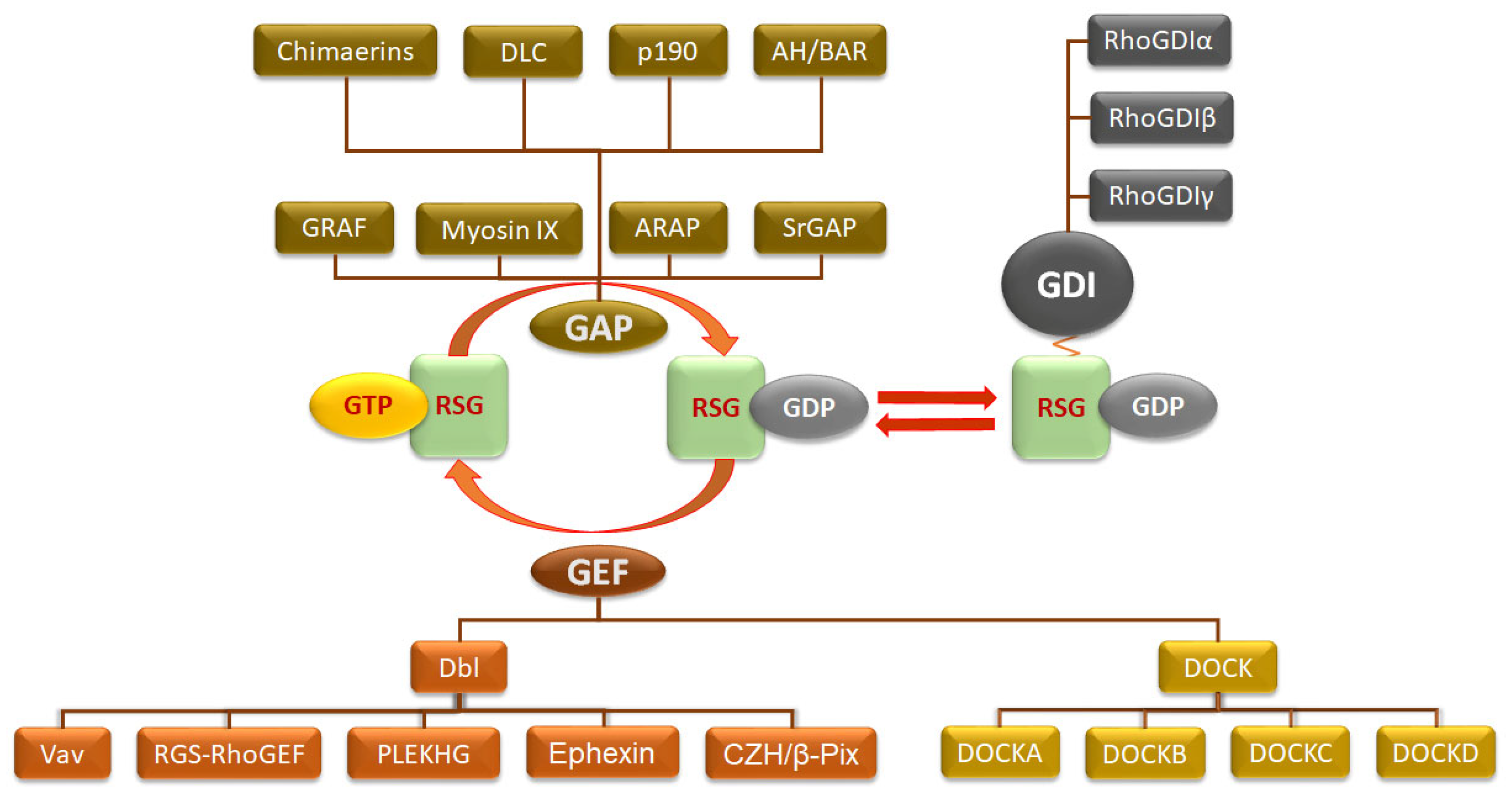 Cancers 17 03680 g007