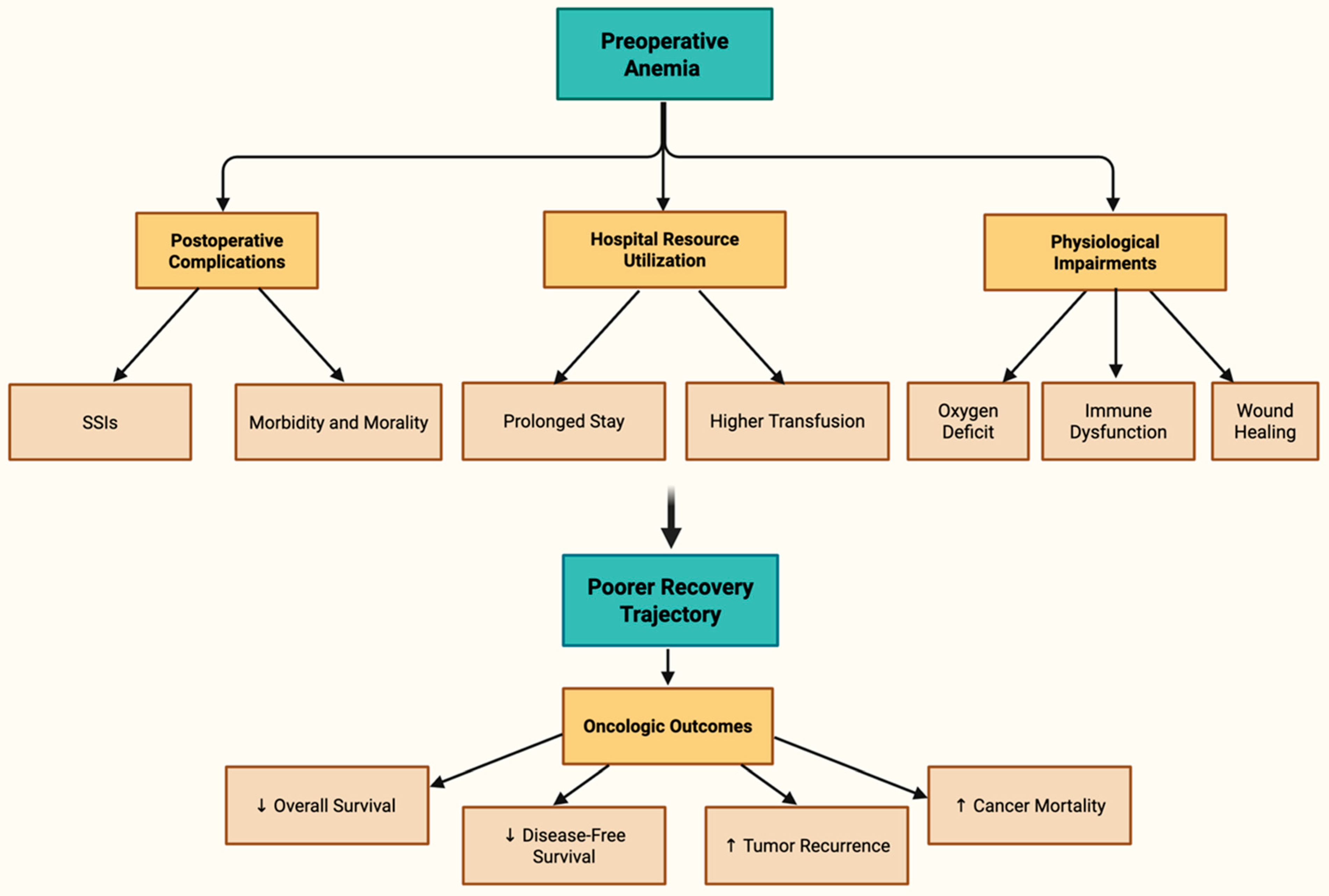 Cancers 17 03689 g001