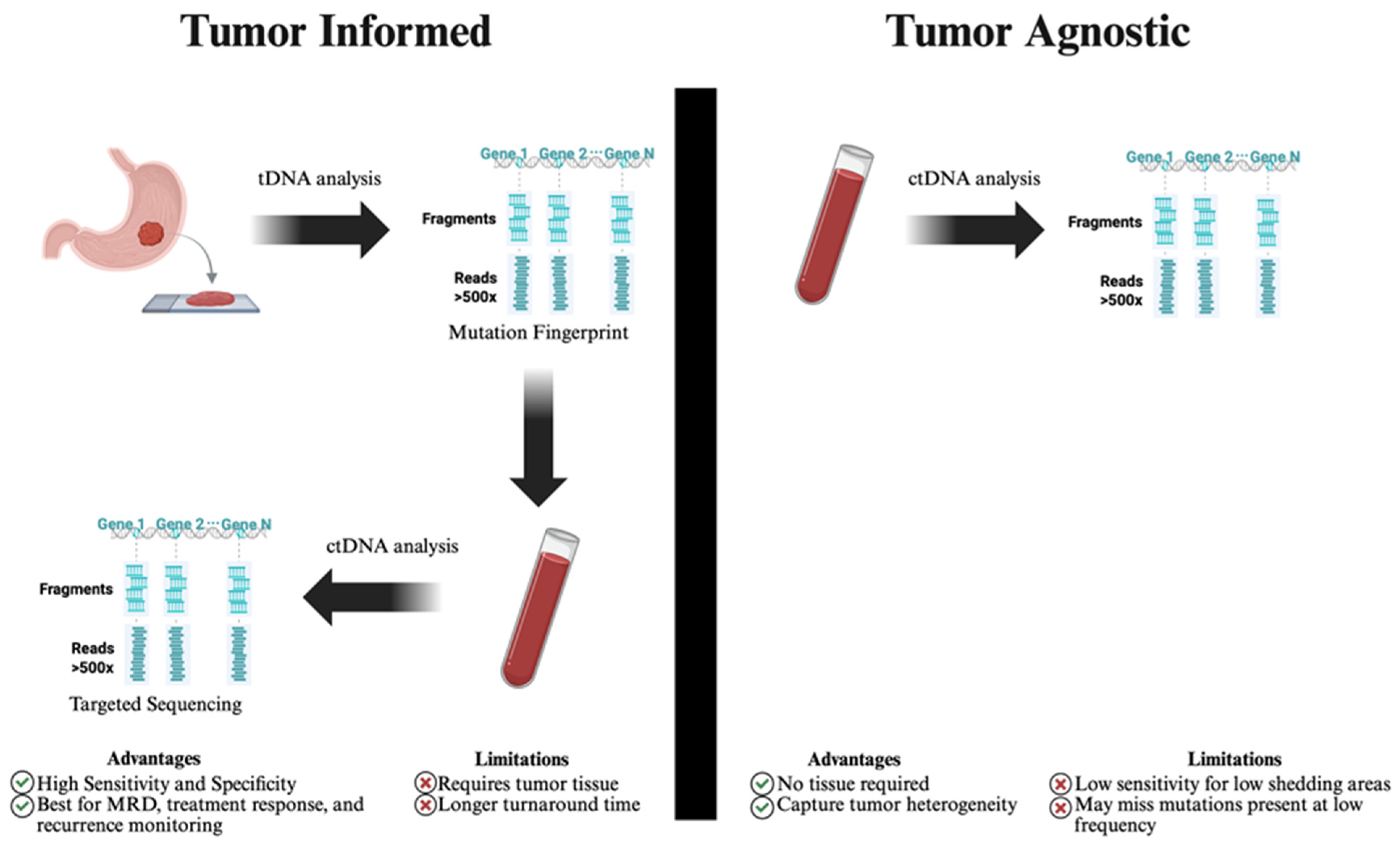 Cancers 17 03692 g001 Cancers 17 03692 g001