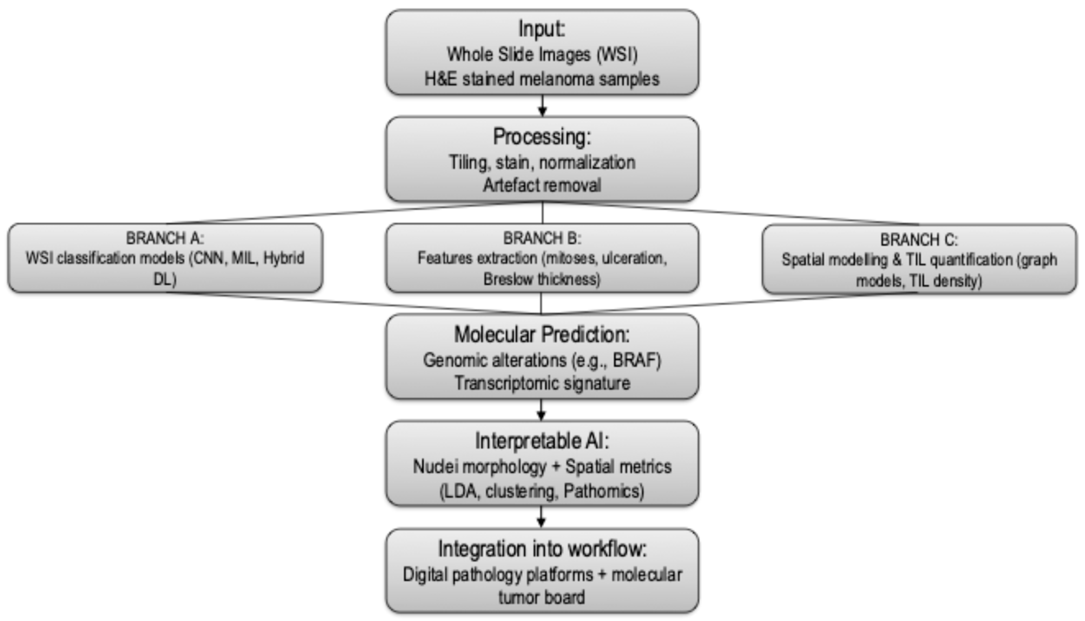 Cancers 17 03696 g002