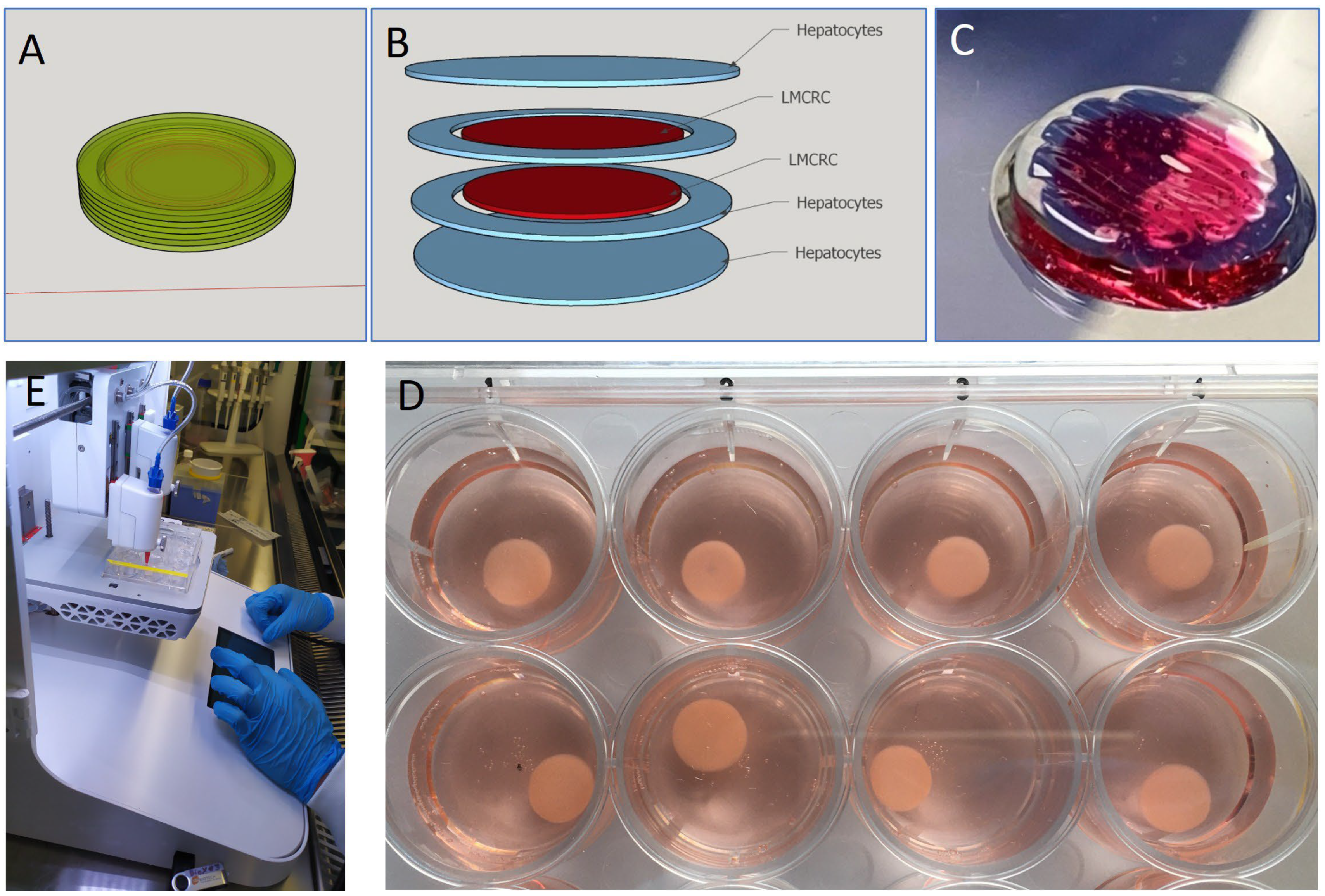 Cancers 17 03705 g001