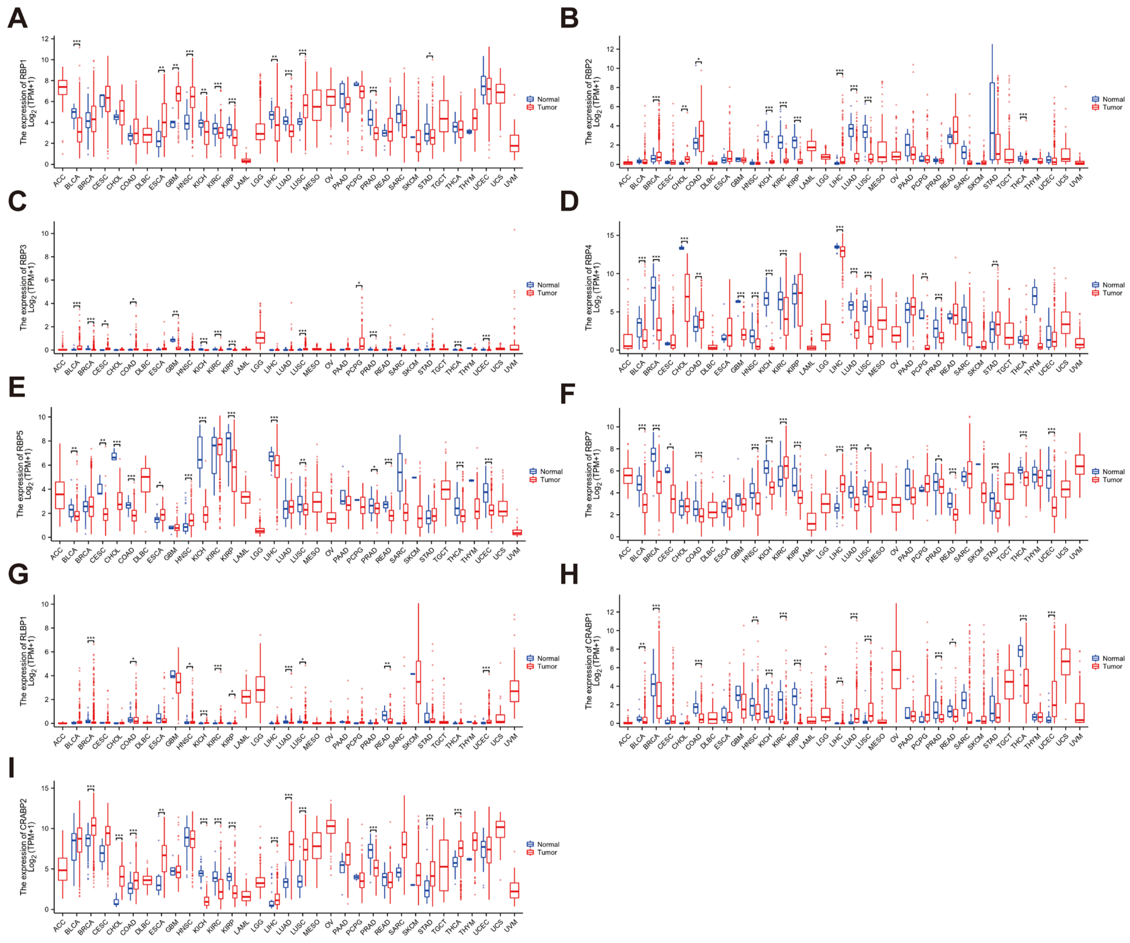 Cancers 17 03706 g001
