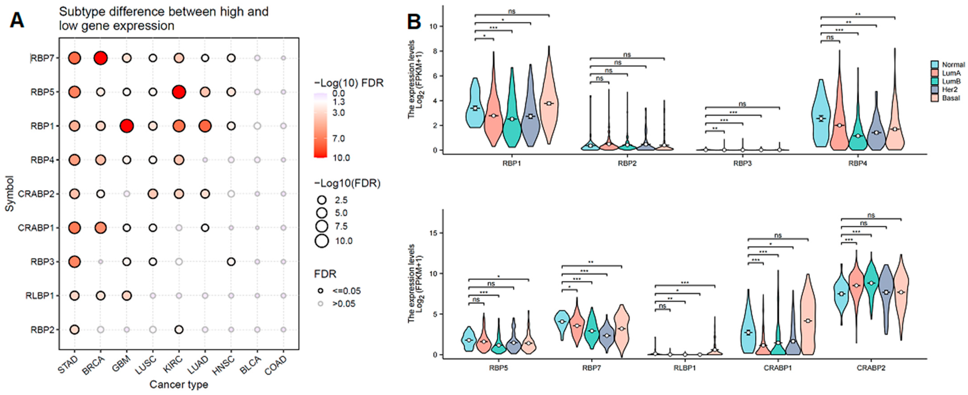 Cancers 17 03706 g002