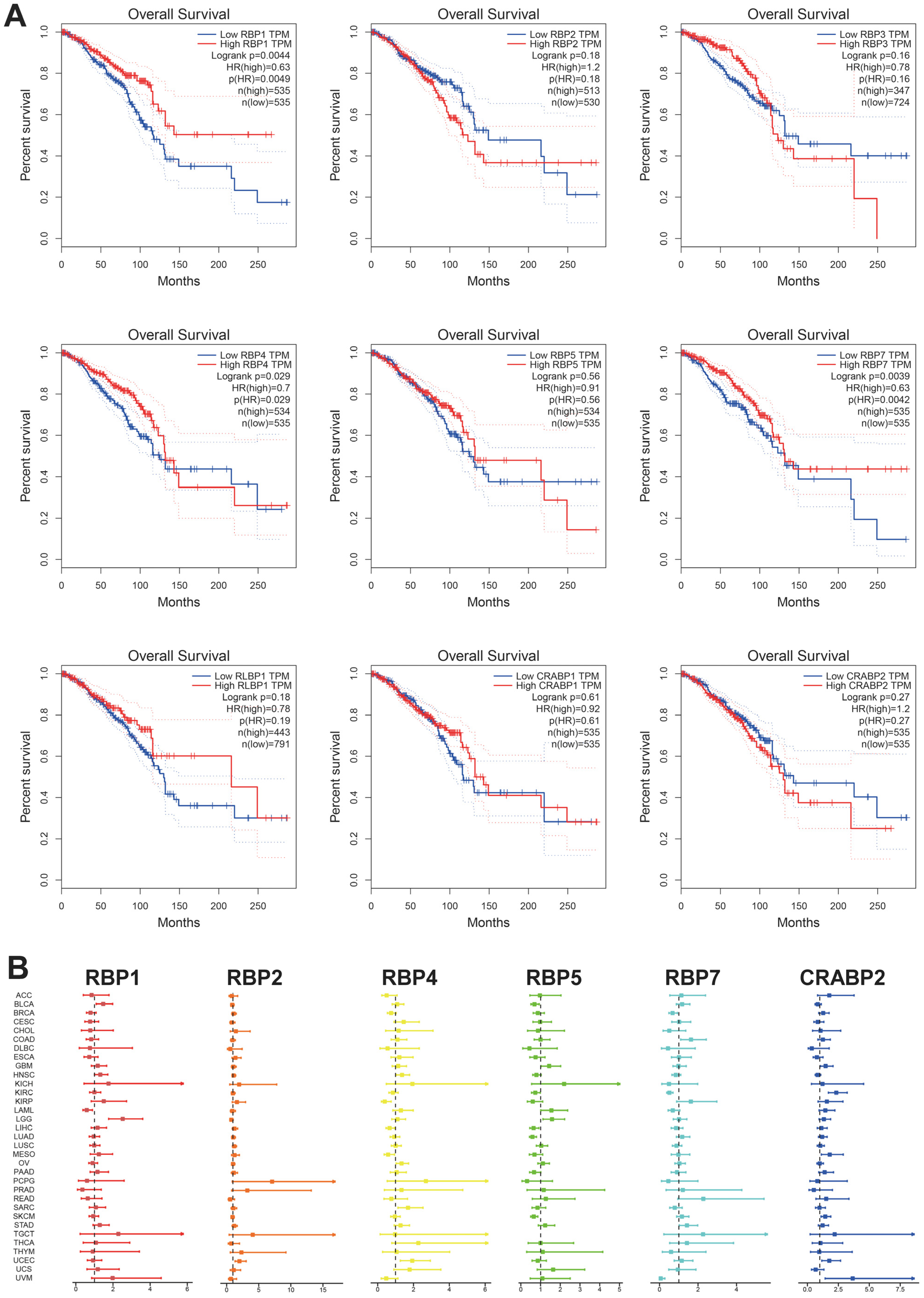 Cancers 17 03706 g003