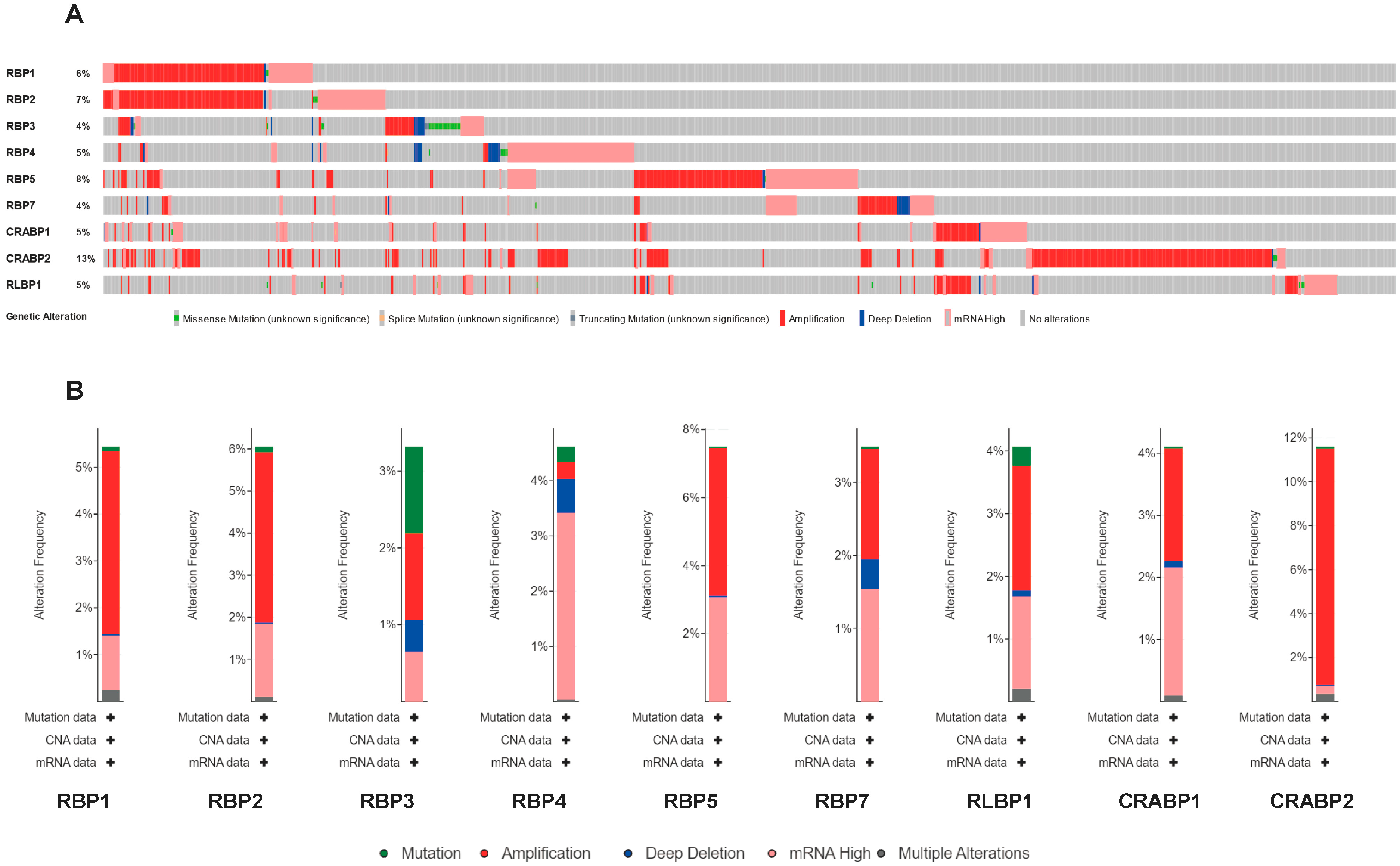 Cancers 17 03706 g004